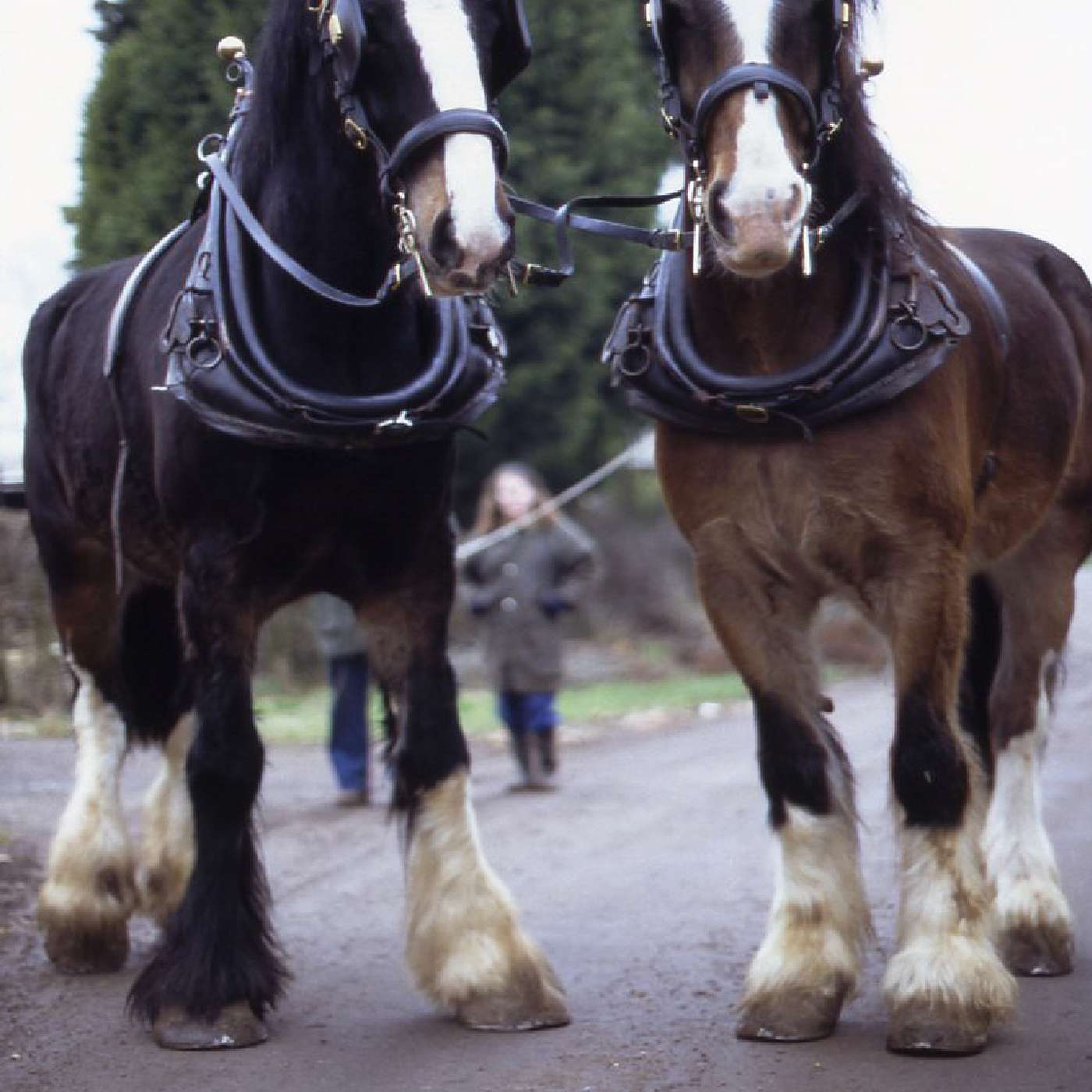 Keith Sanders the Storyman  Podcast