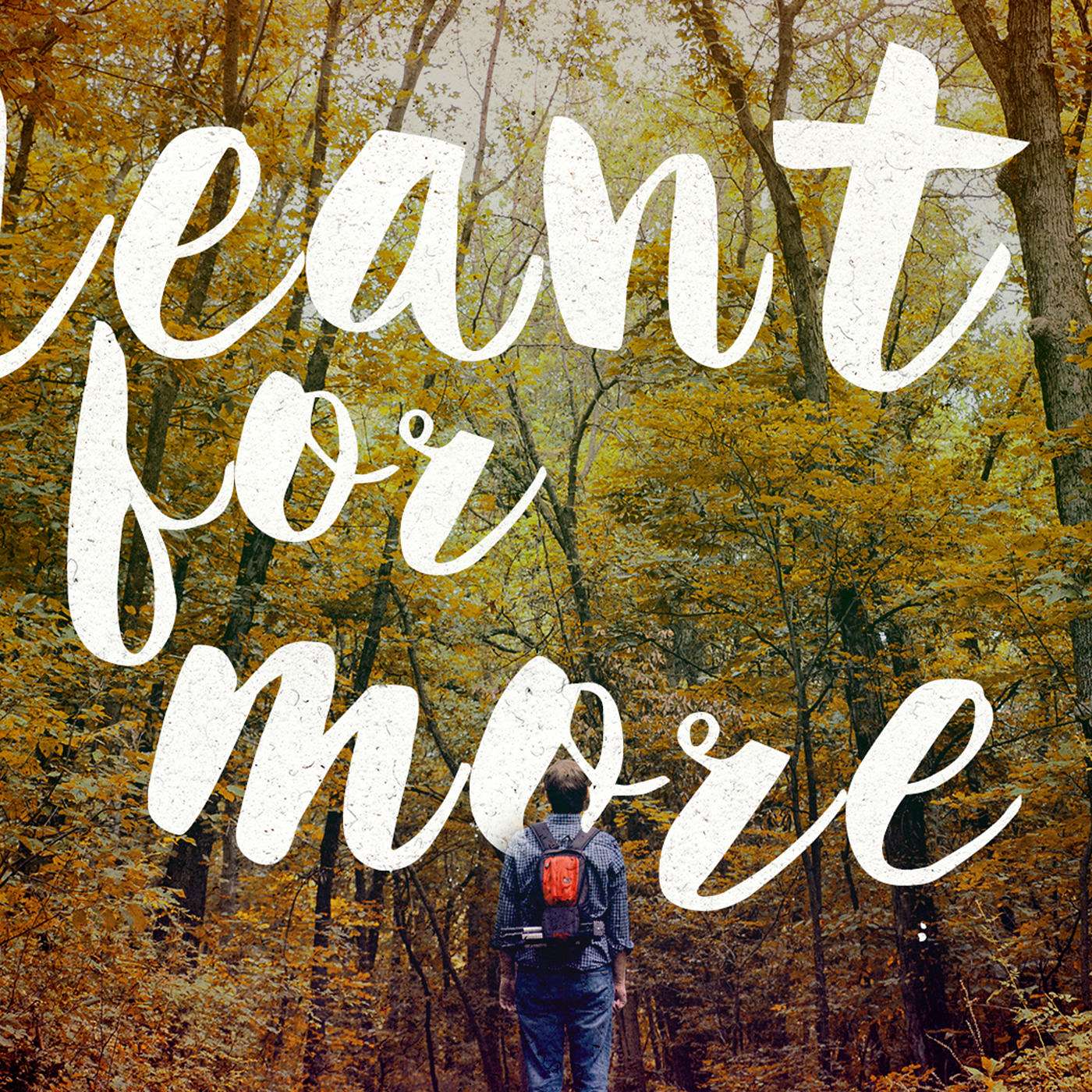 Meant for more: Money is more (and less) important than you think