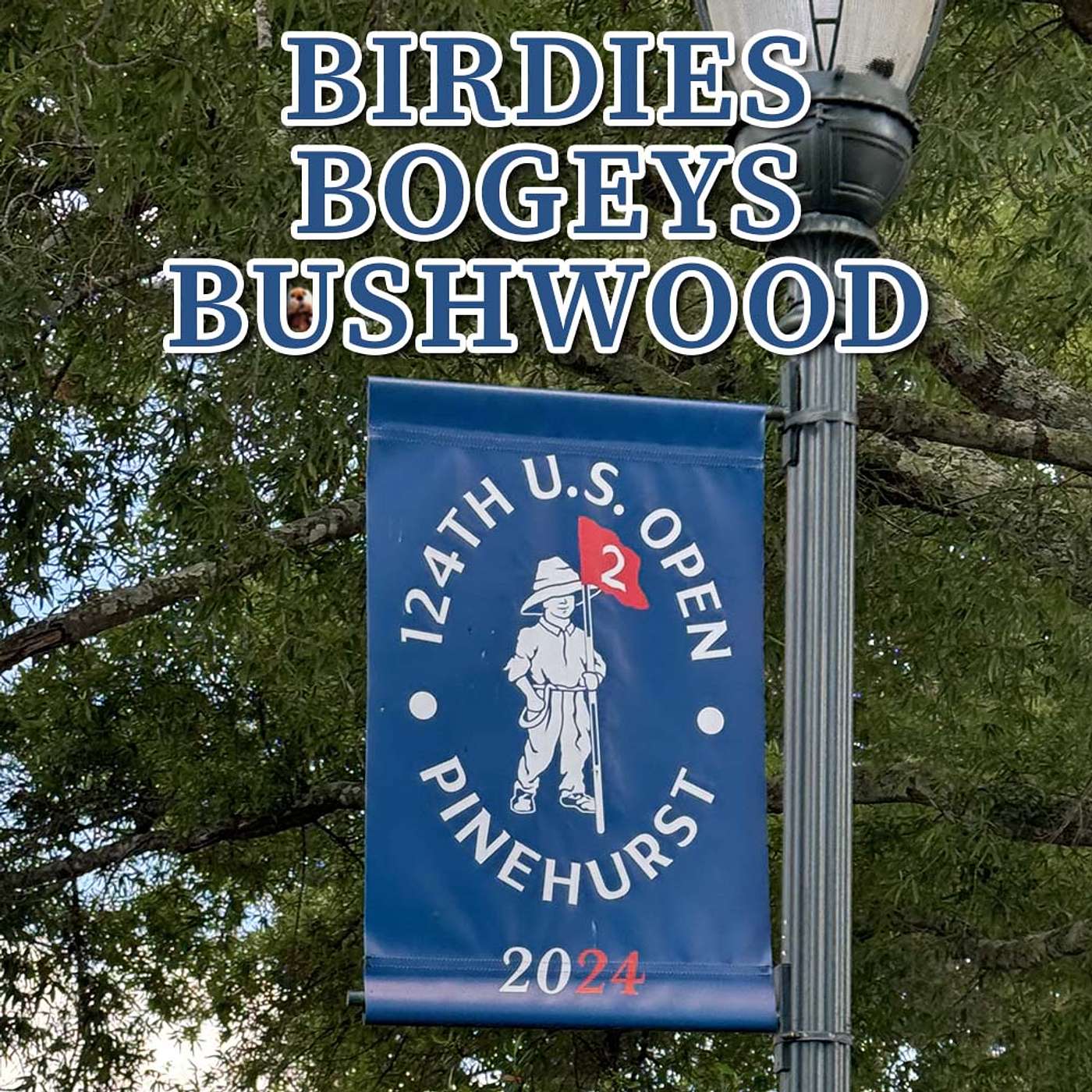 2024 U.S. Open: Advice, Wagers, DFS Strategy & One-and-Done Picks #PGA #Golf #PGADFS #DFS #Pinehurst episode artwork