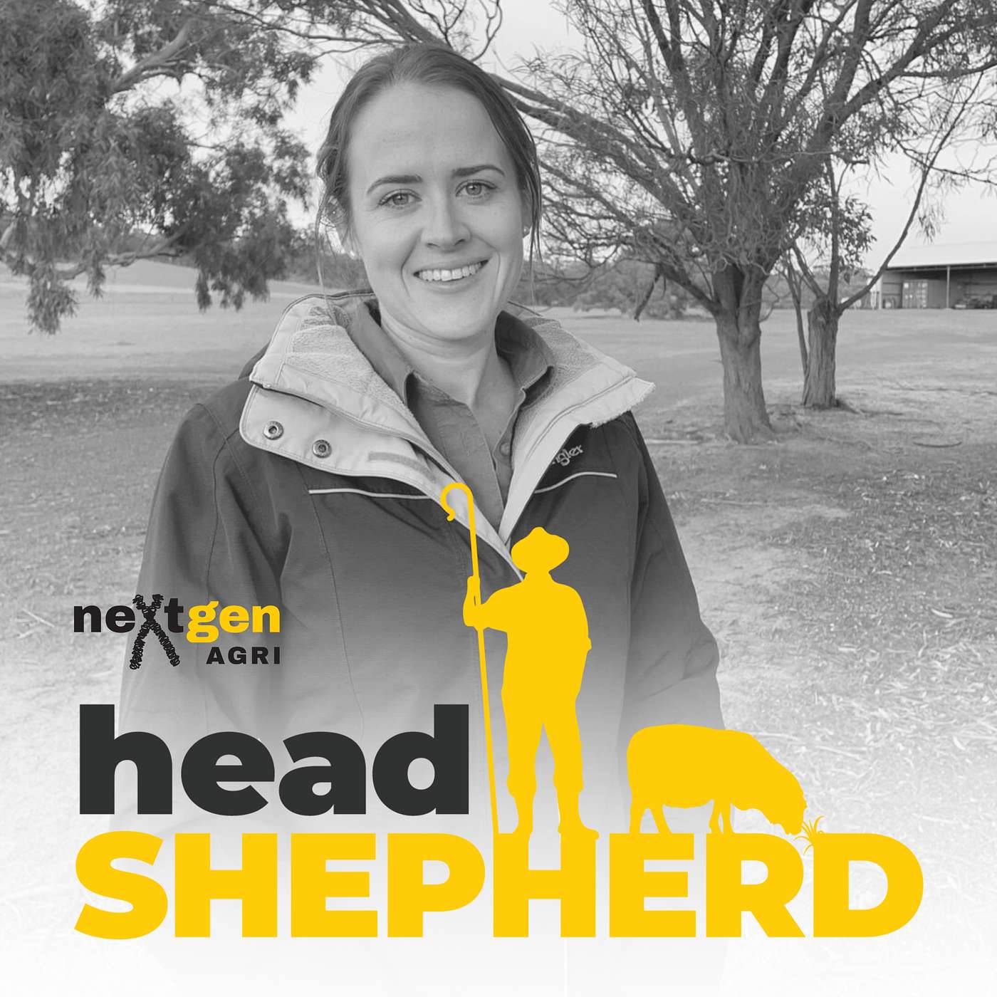 Head Shepherd