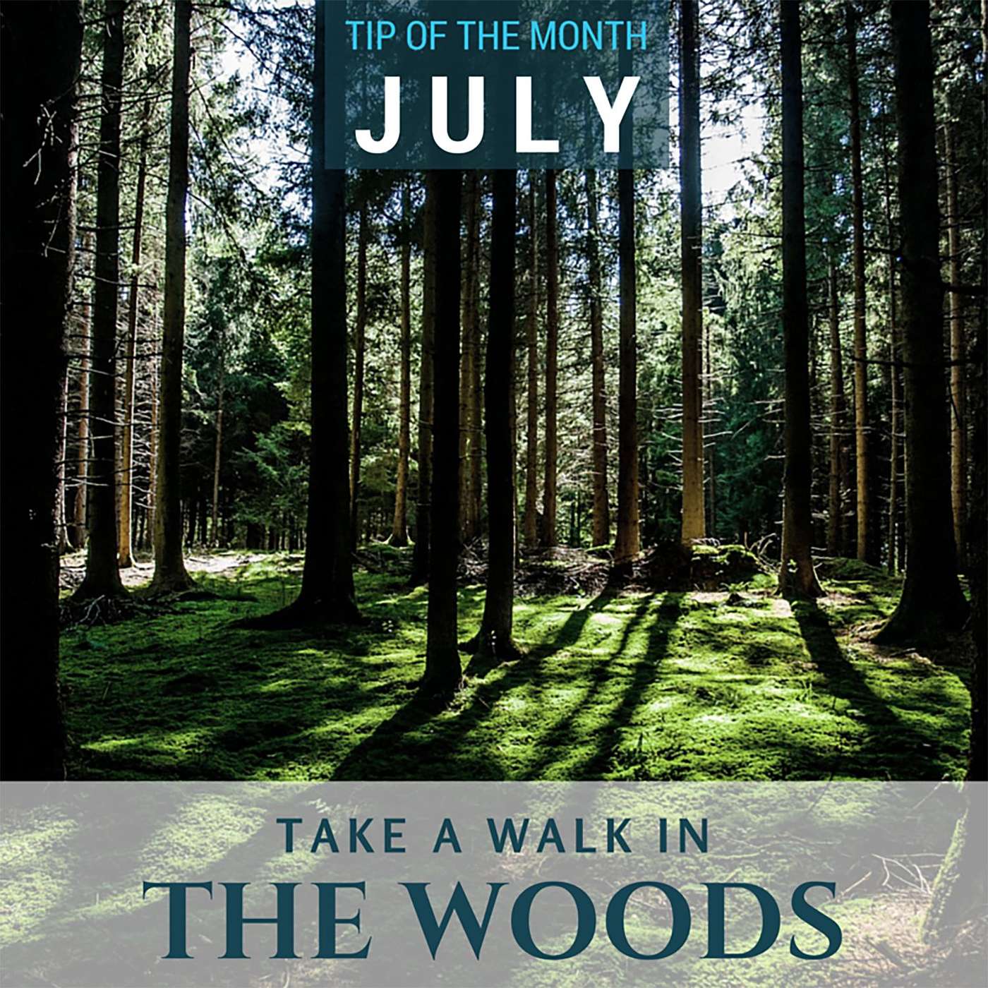 Take a Walk {Homeschool Science Tip of the Month July 2016}
