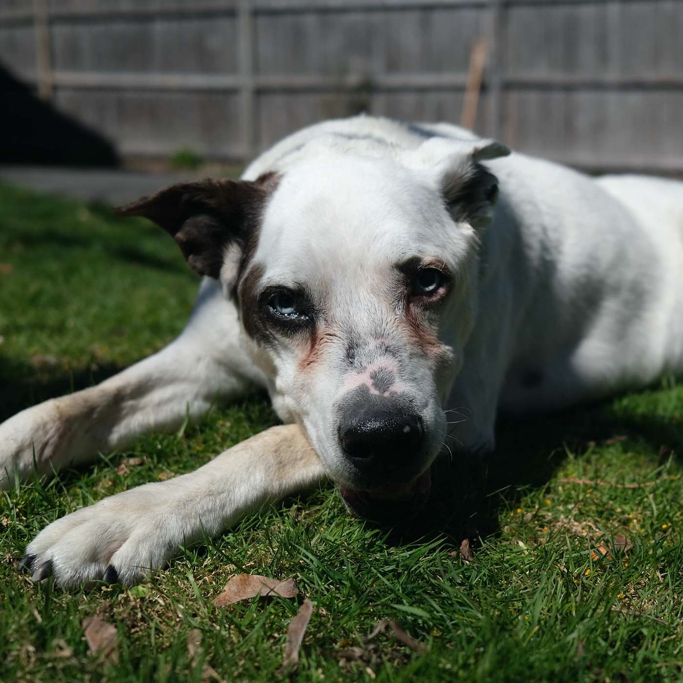 Episode 22 - Here We Go Again Episode 22 - Here We Go Again