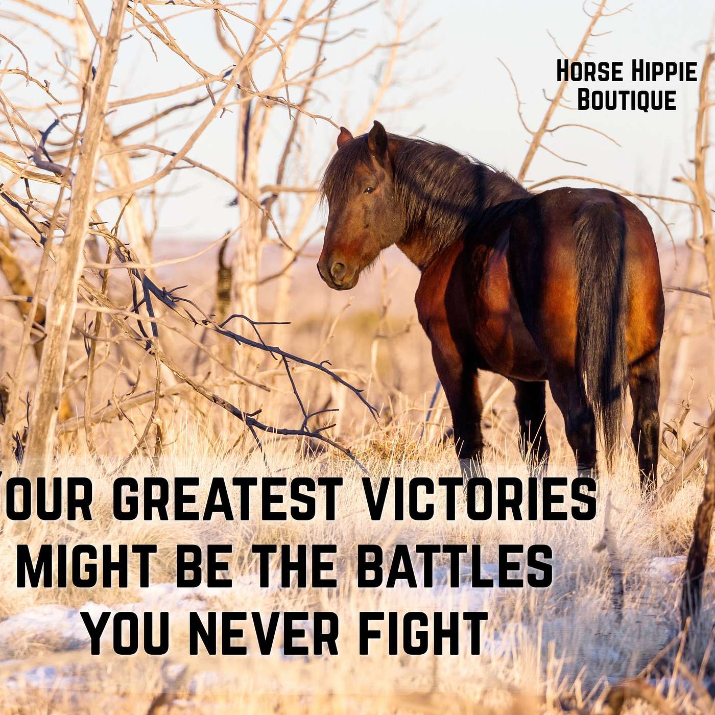 Battles You Never Fight episode artwork