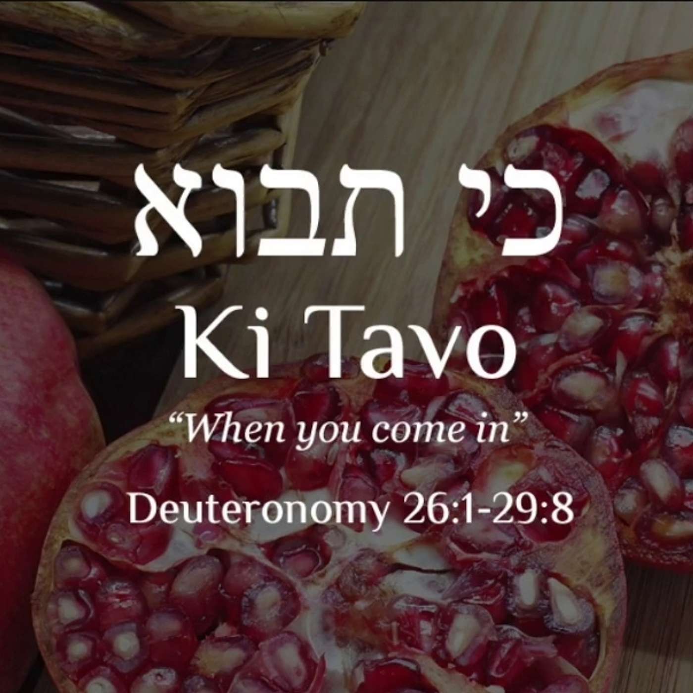 Parasha Ki Tavo: Deut 26:1-29:8