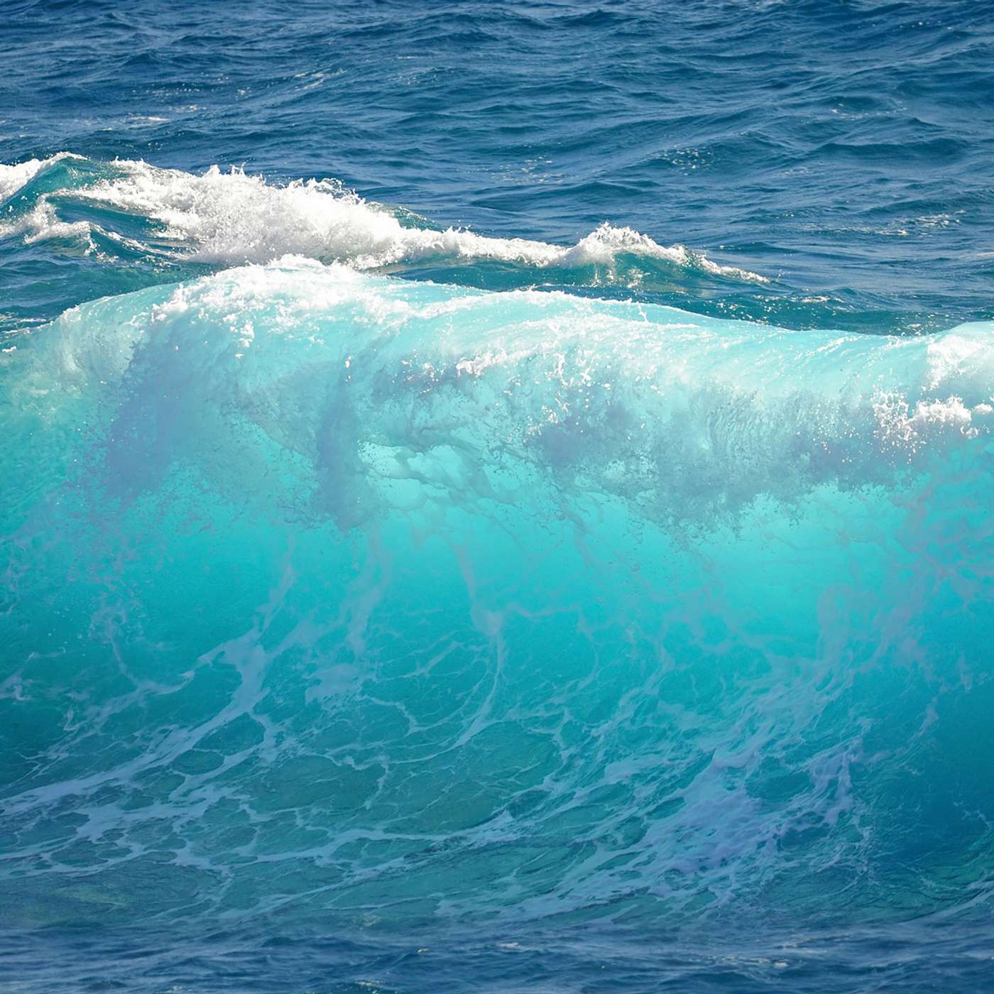 Water: The Conscious Blueprint for Life with Patrick Durkin
