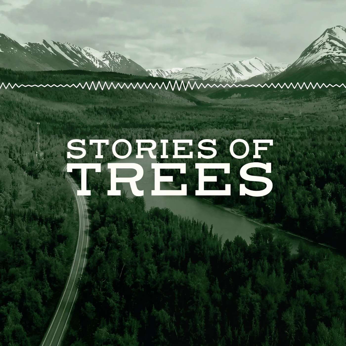 Stories of Trees