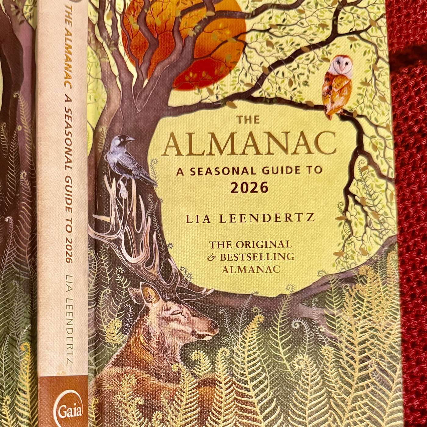 Longer days; Daffodils; Aquinas; Gildas; Wolsey; and AA Milne’s The Sailor ⚓️