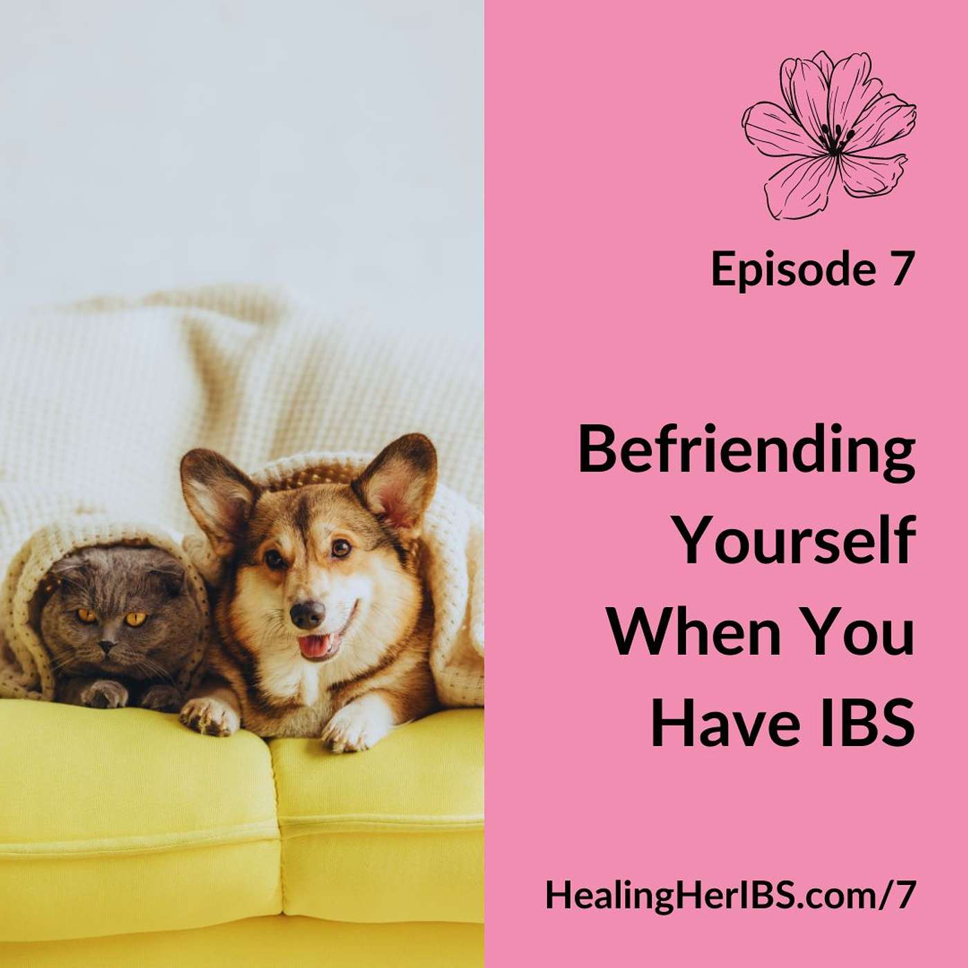 Healing Her IBS