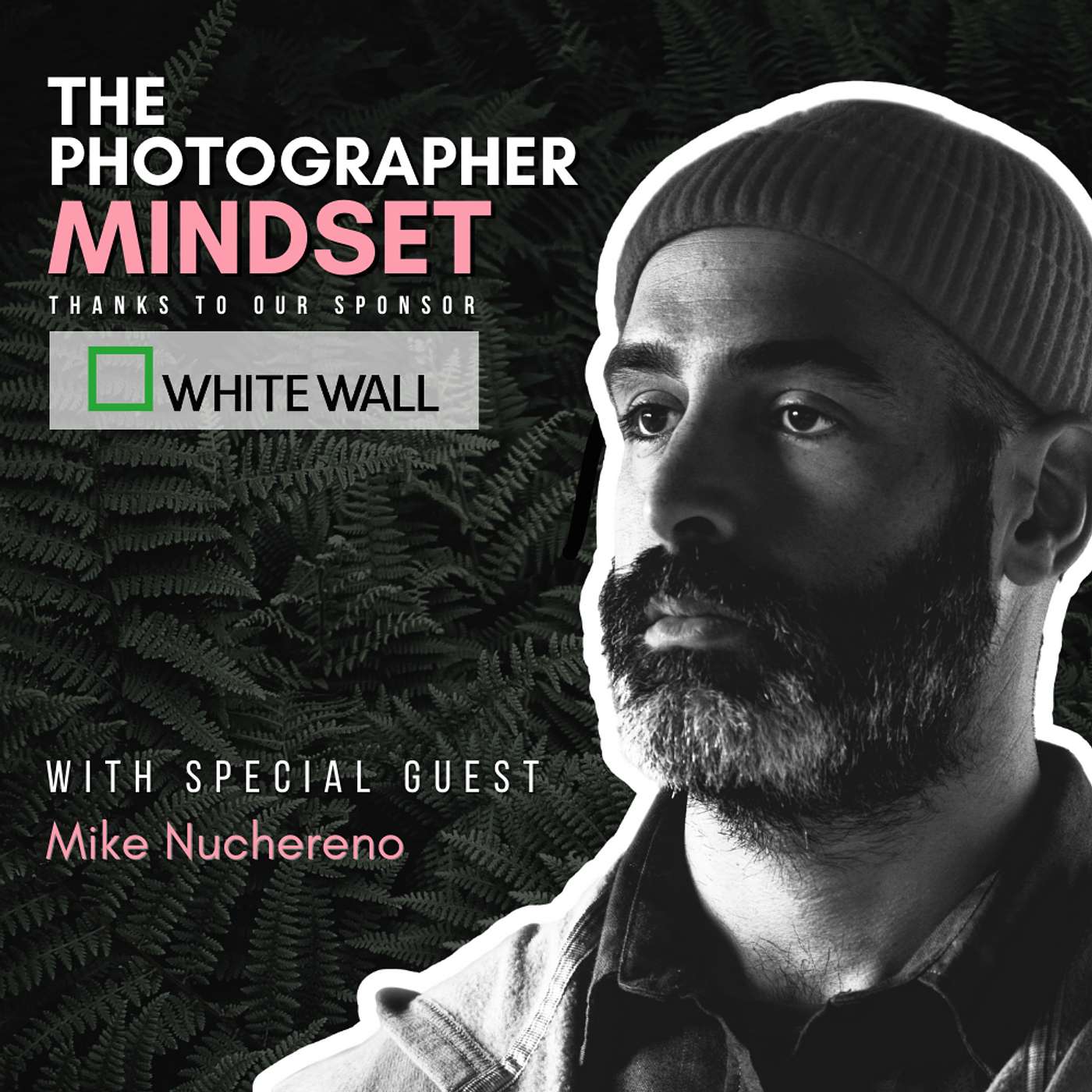How Our Photographer Buddy 