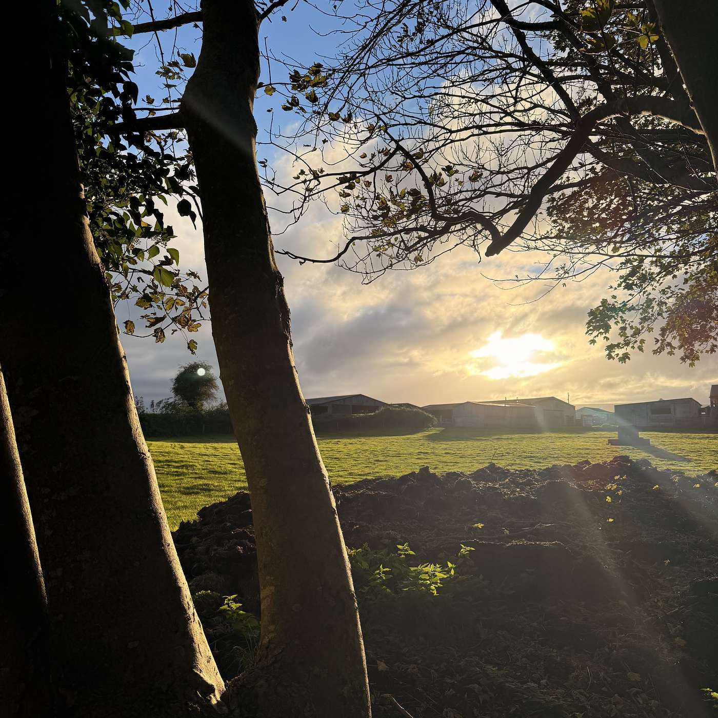 Saturday morning Saints; Cuthbert nibbles on Five Onions; and the Curse of Irritation