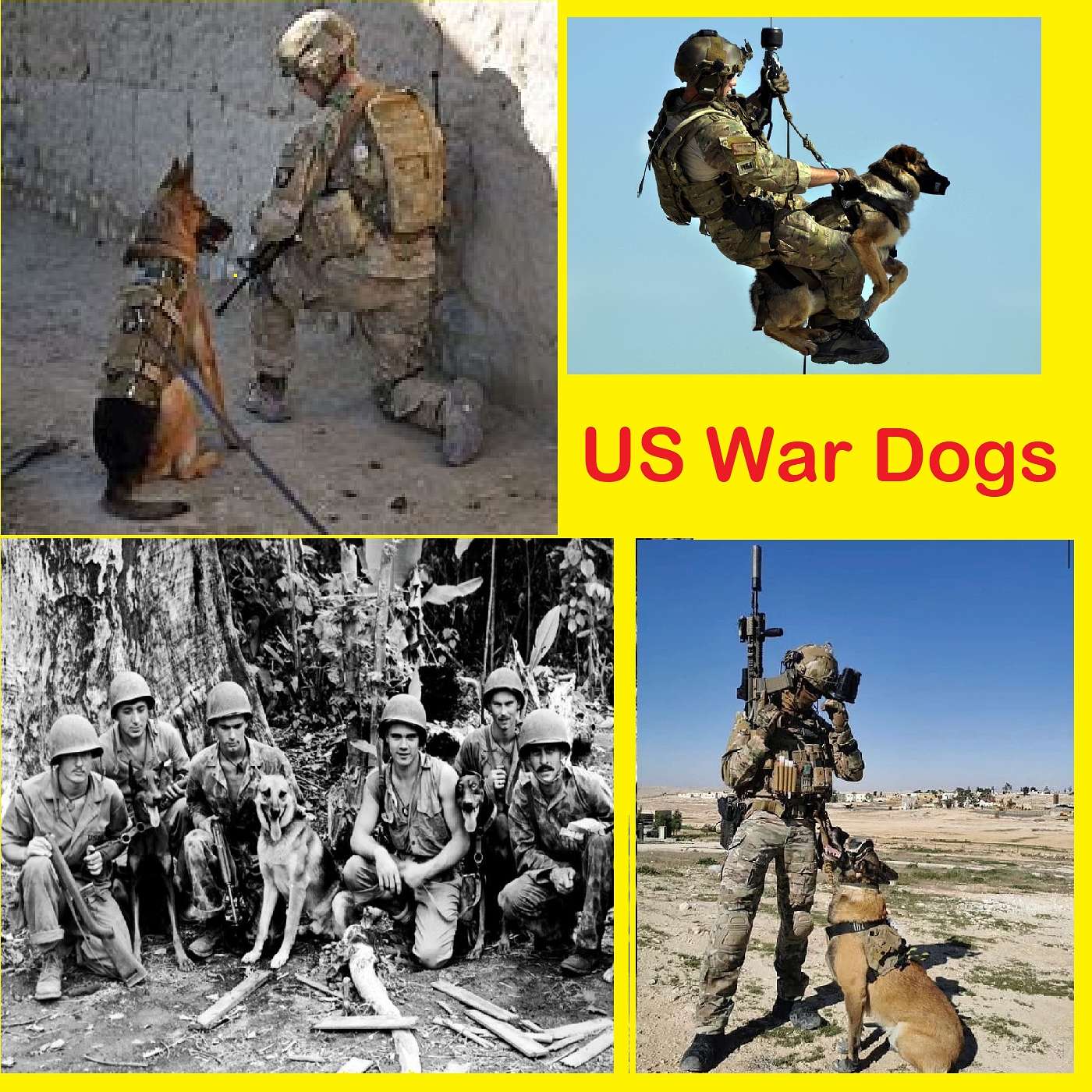 Todays Podcast is a little different. Today we take up the case for better treatment of our furry veterans who save many lives but receive no benefits when they retire, the USA War Dog.