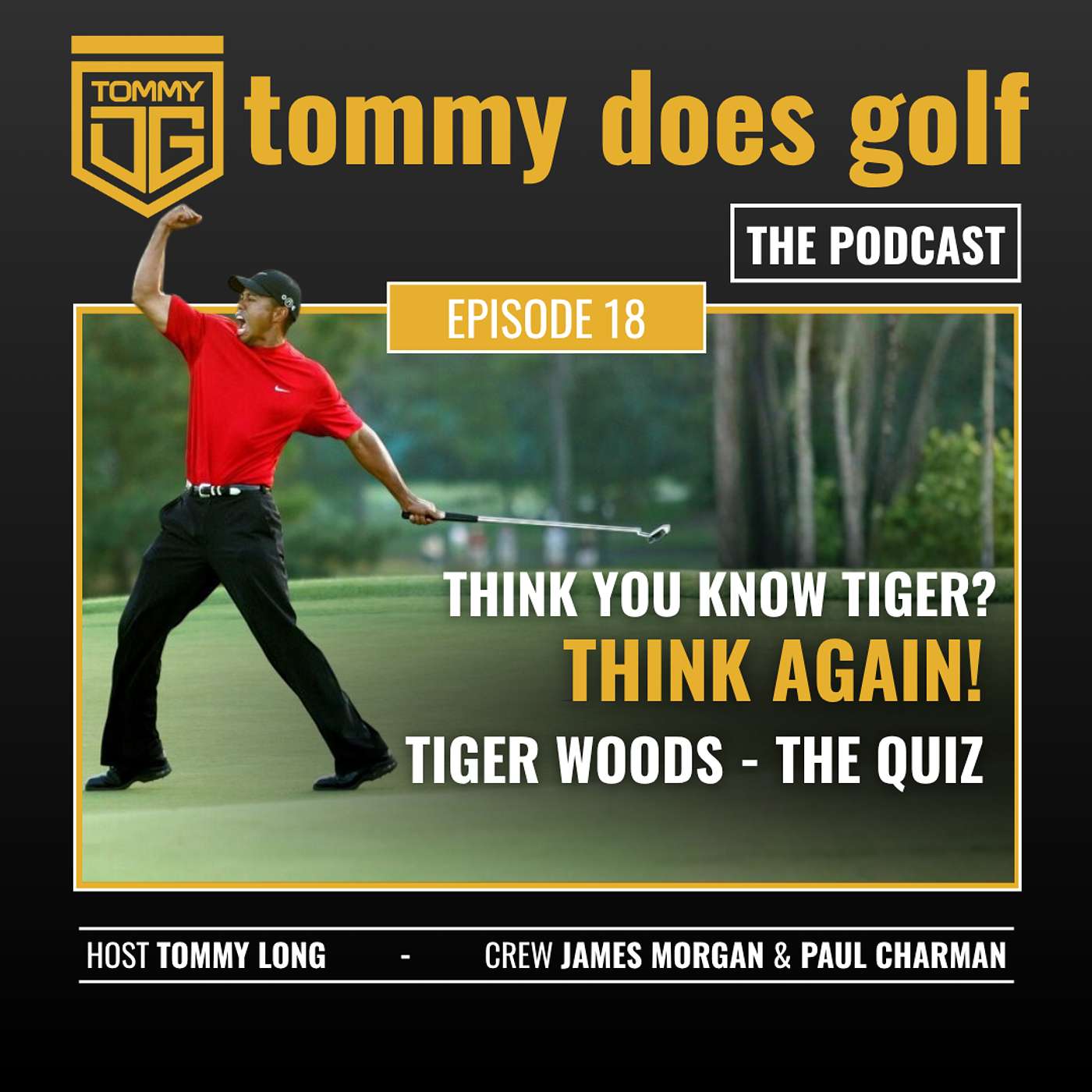 TIGER WOODS - THE QUIZ