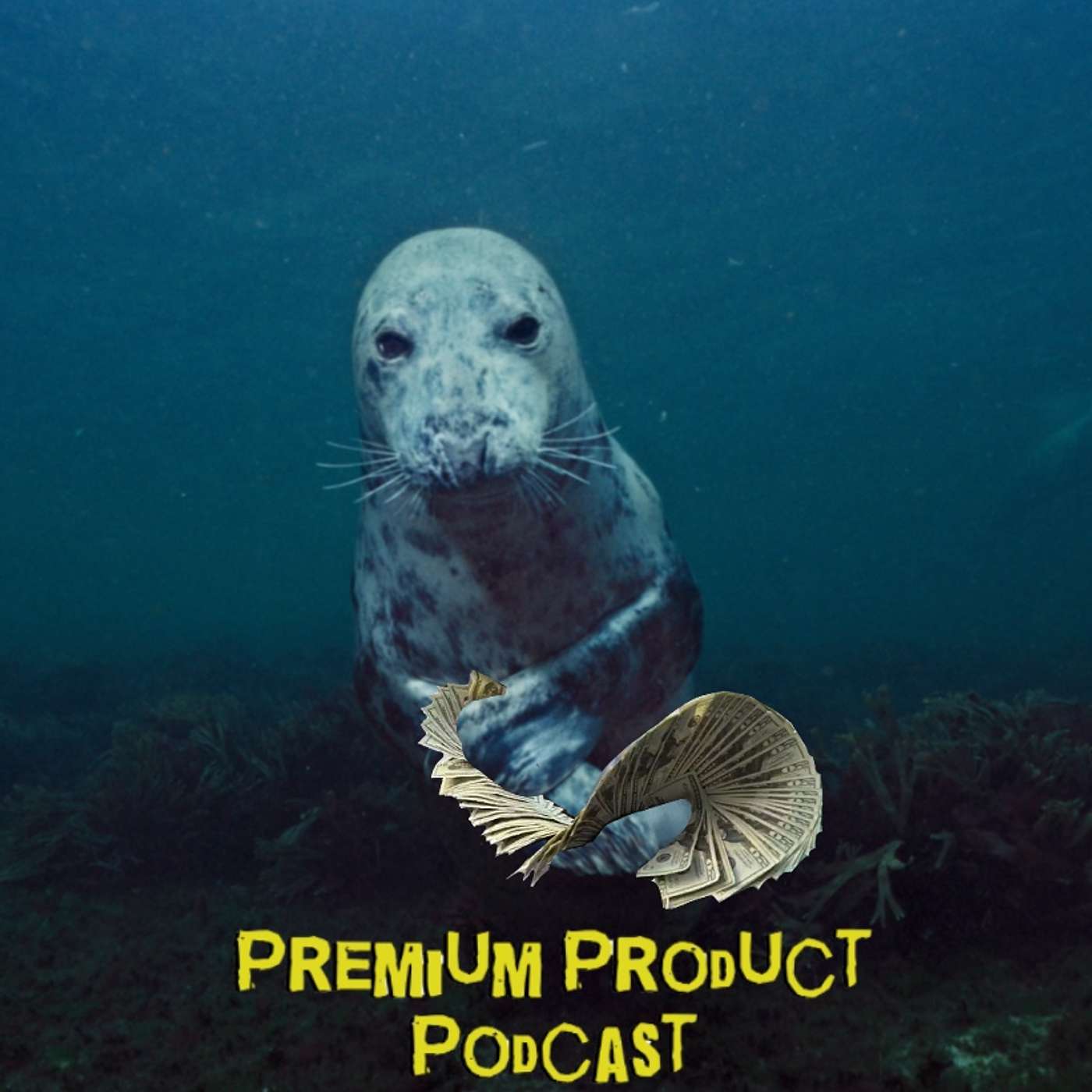 Seal Meat