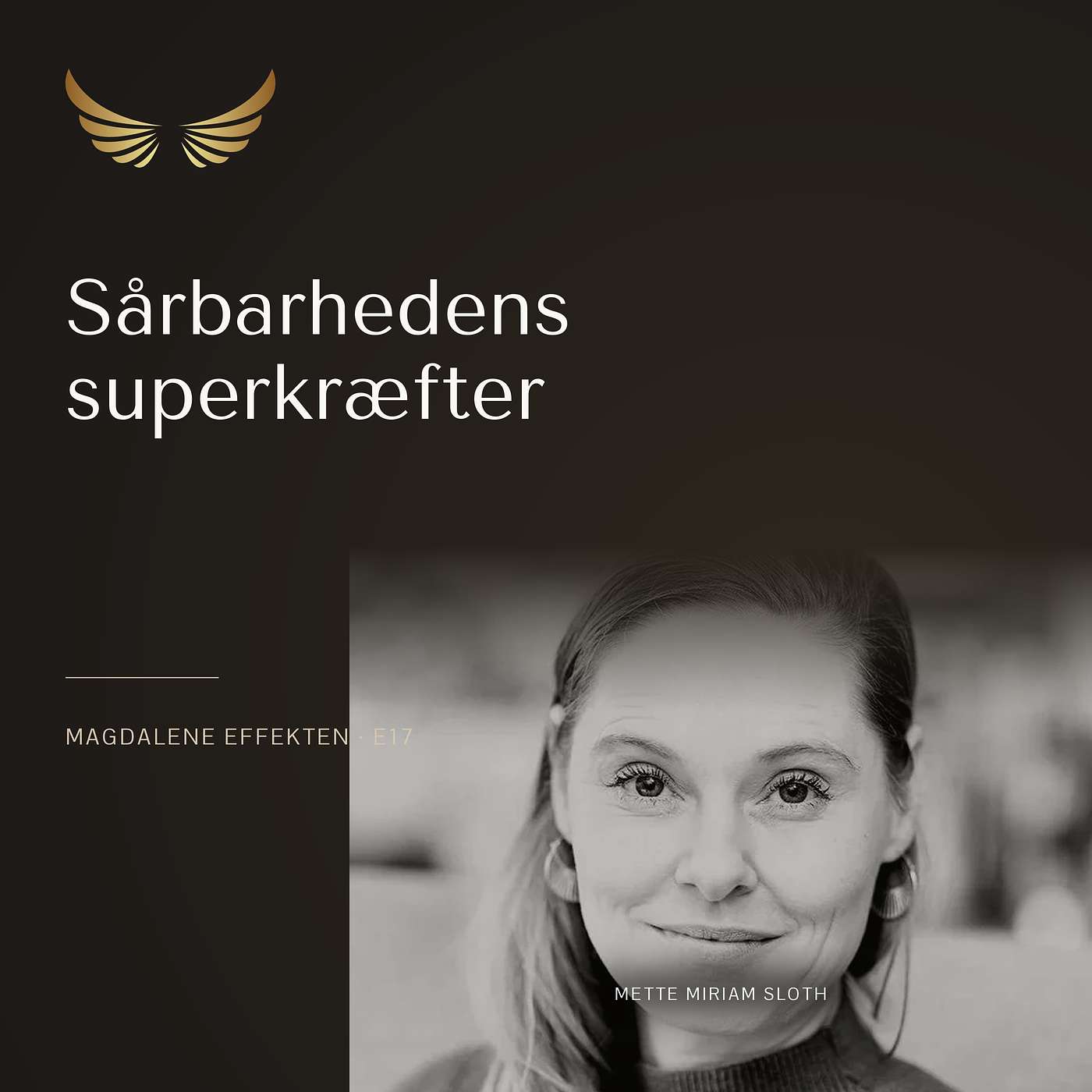 E17: Sårbarhedens superkræfter episode artwork