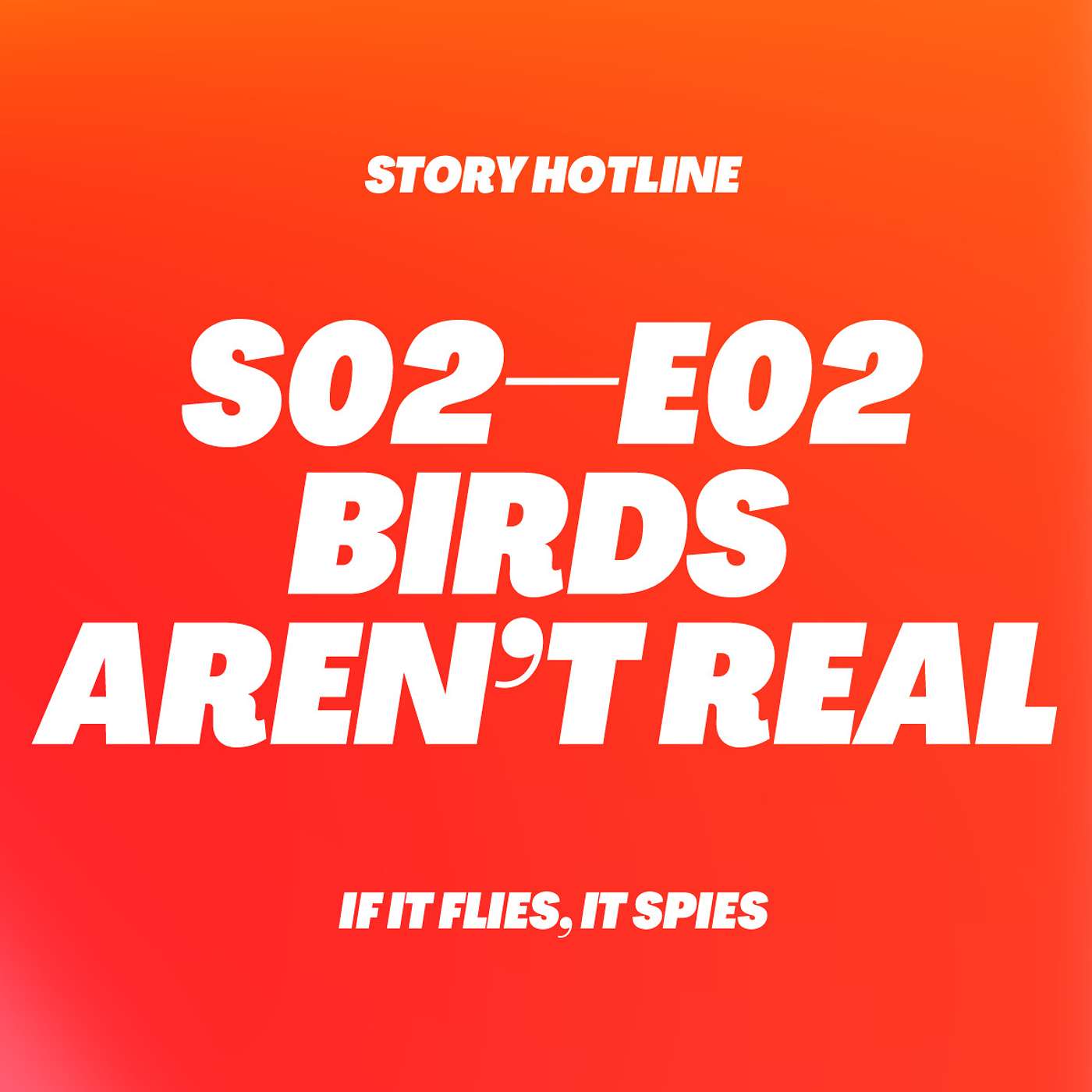 Birds Aren't Real – The Story Behind Tik Tok's Favourite Conspiracy Theory