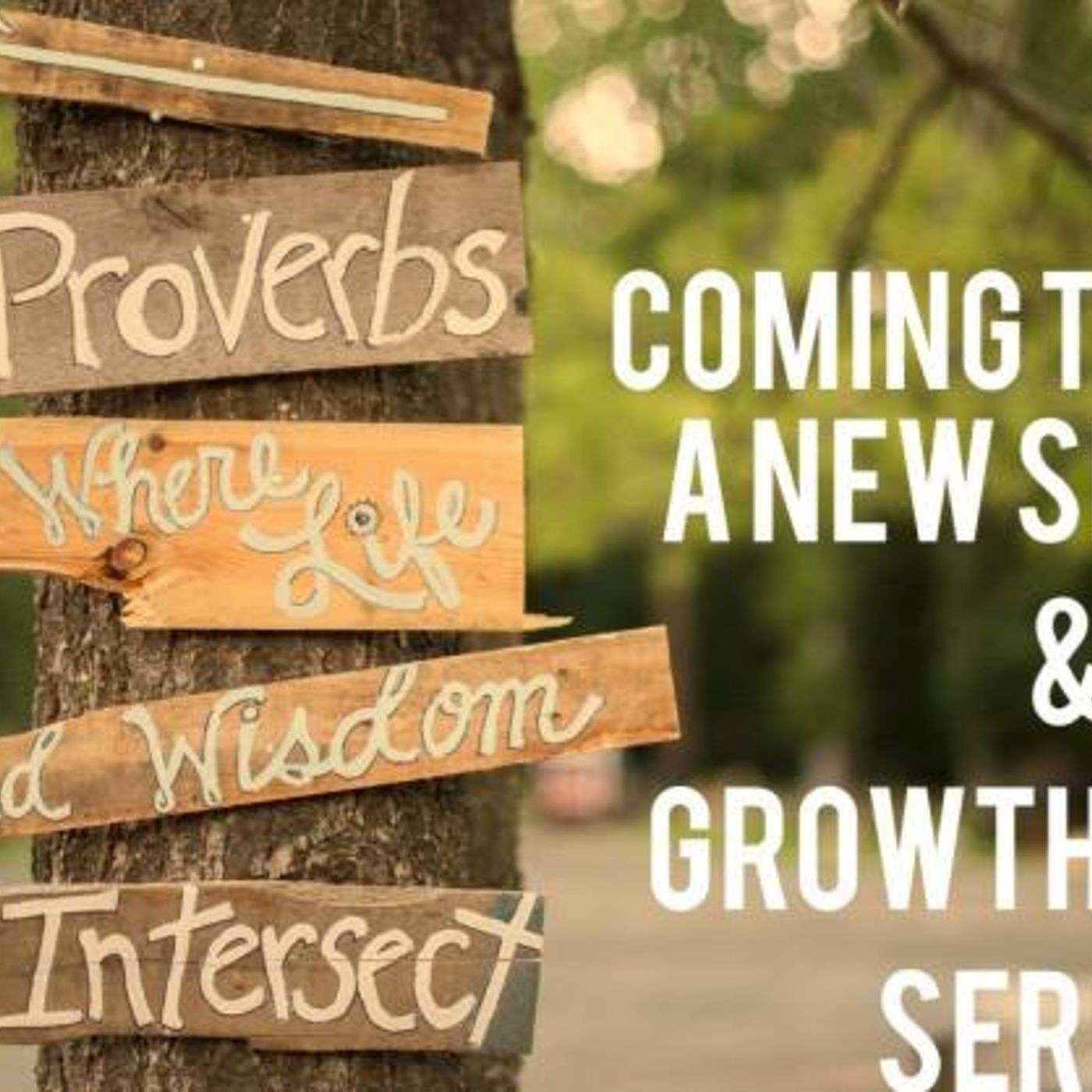 Proverbs Part 6