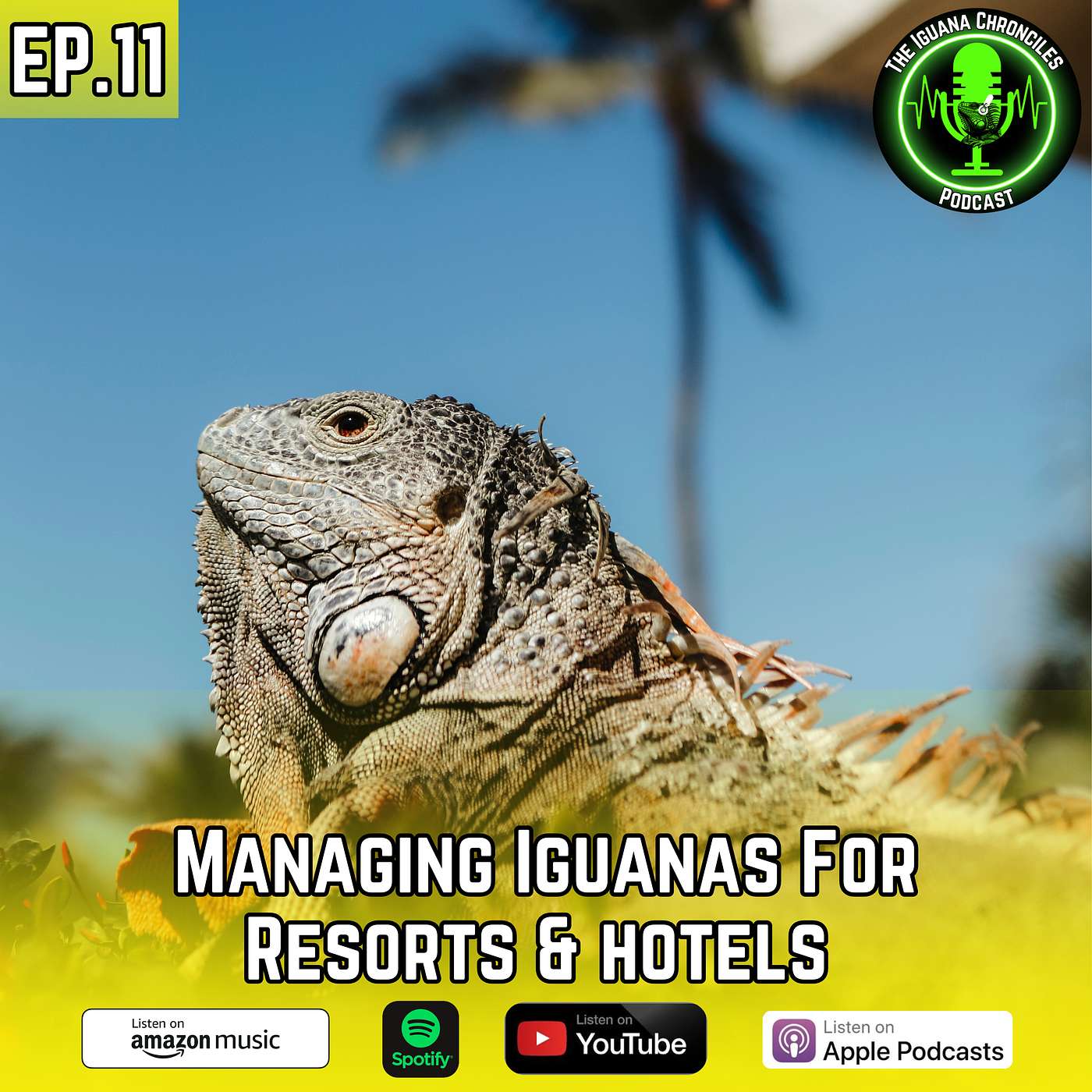 The Iguana Chronicles Podcast