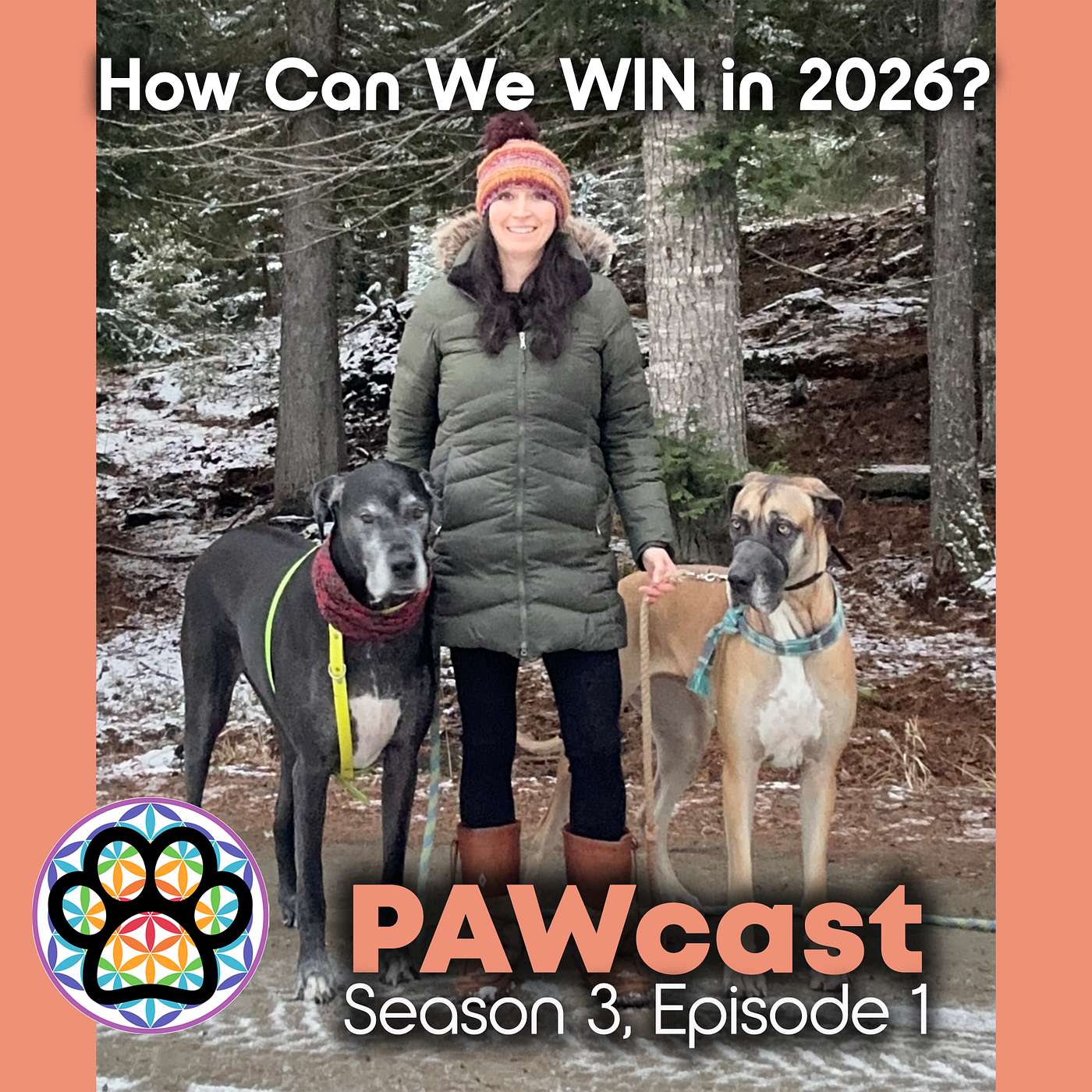 32: 2026 - What Can We WIN? episode artwork