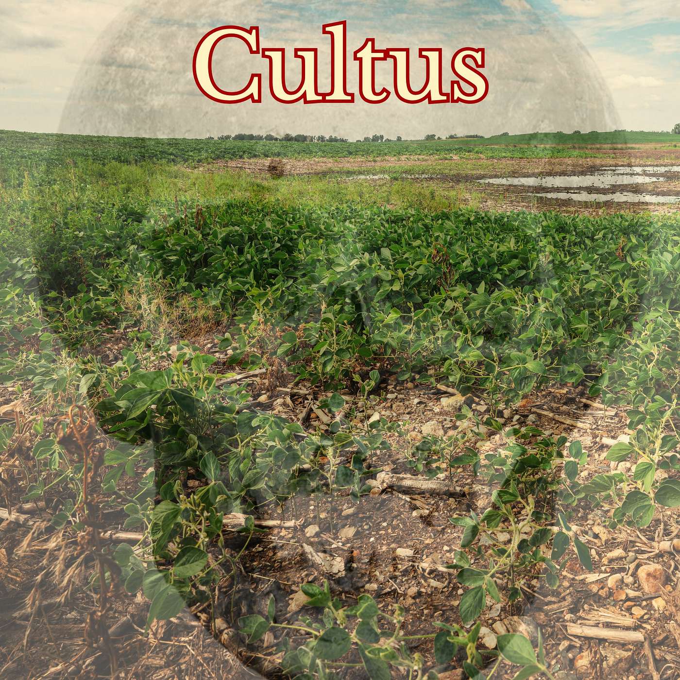 Cultus episode artwork