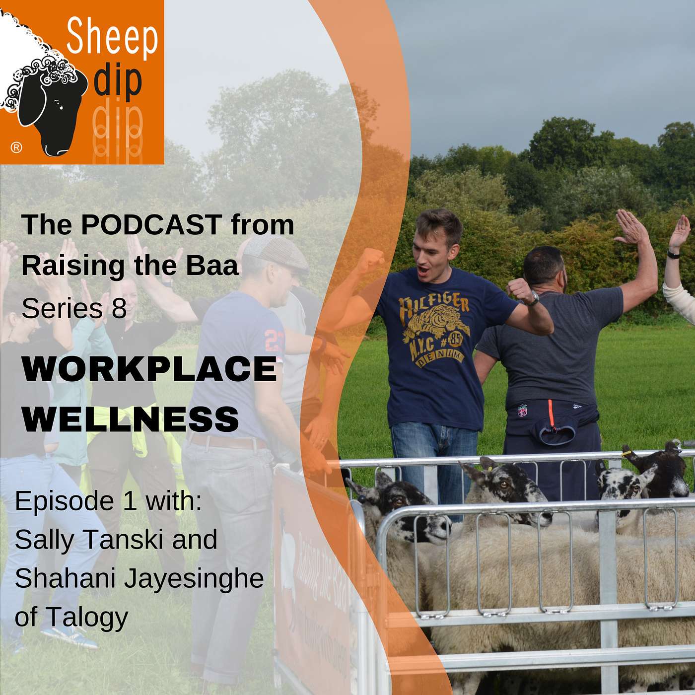 Sheep Dip with Raising the Baa