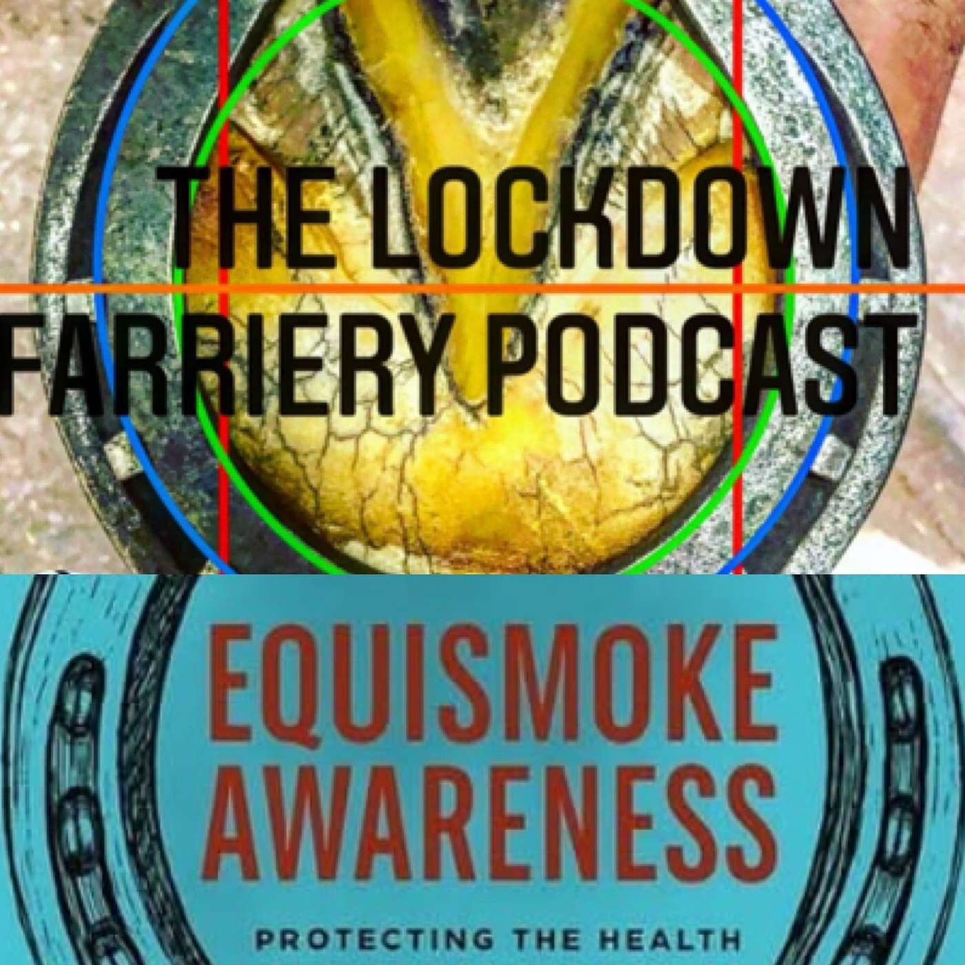 LFP 53 The Risk of Smoke inhalation Equismoke Awareness