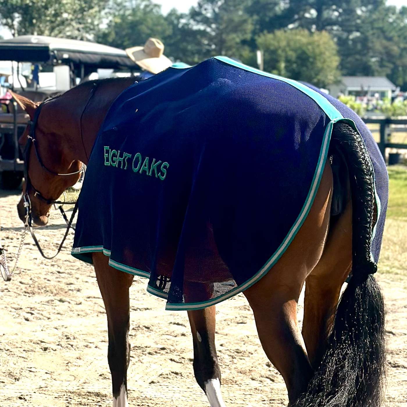 Episode 27: From Swanky Scrim Sheets to Sponsored Soirees, How Your Barn's Brand is Everyone's Business