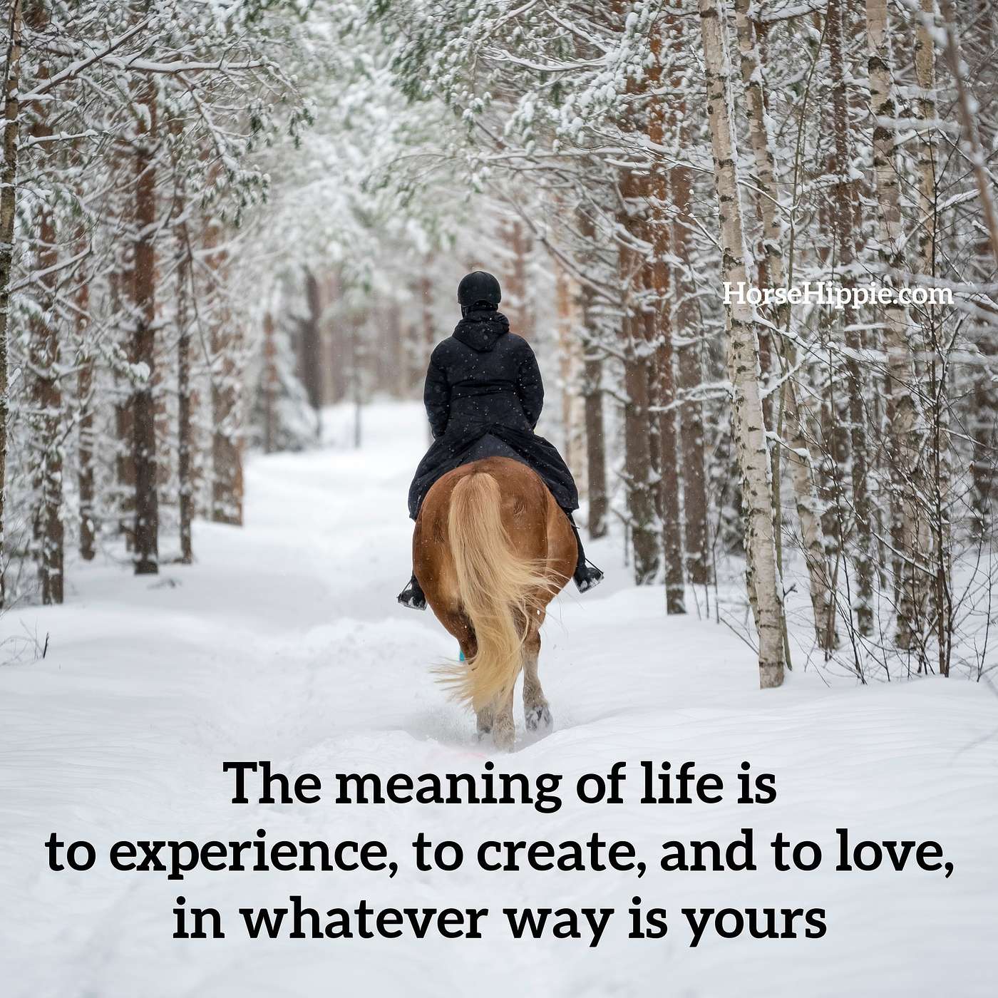 The Meaning of Life