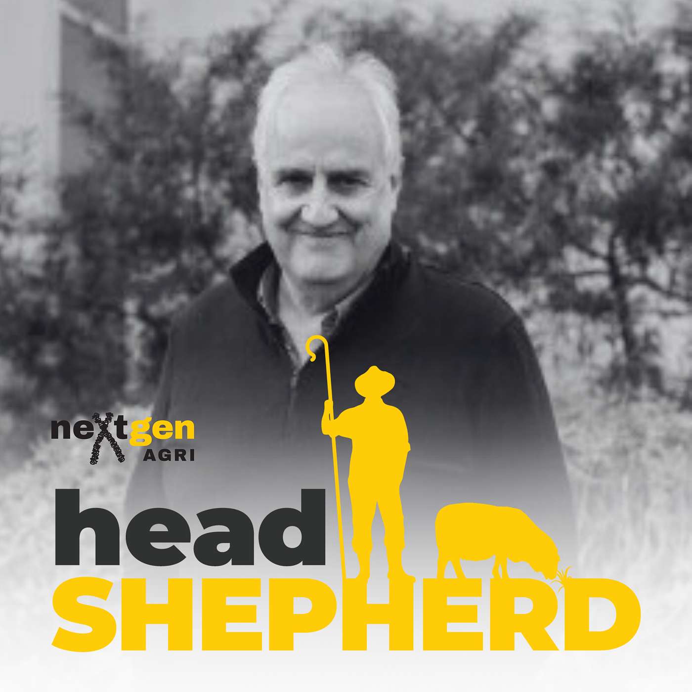 The past, present and future of sheep genomics in New Zealand with John McEwan