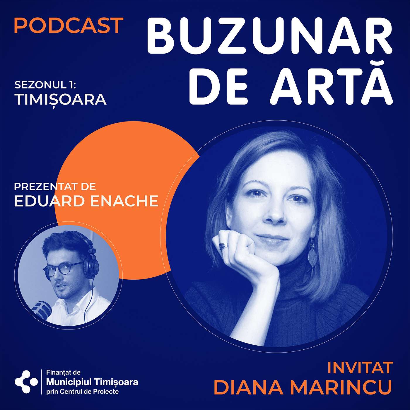 Podcast Buzunar de Artă