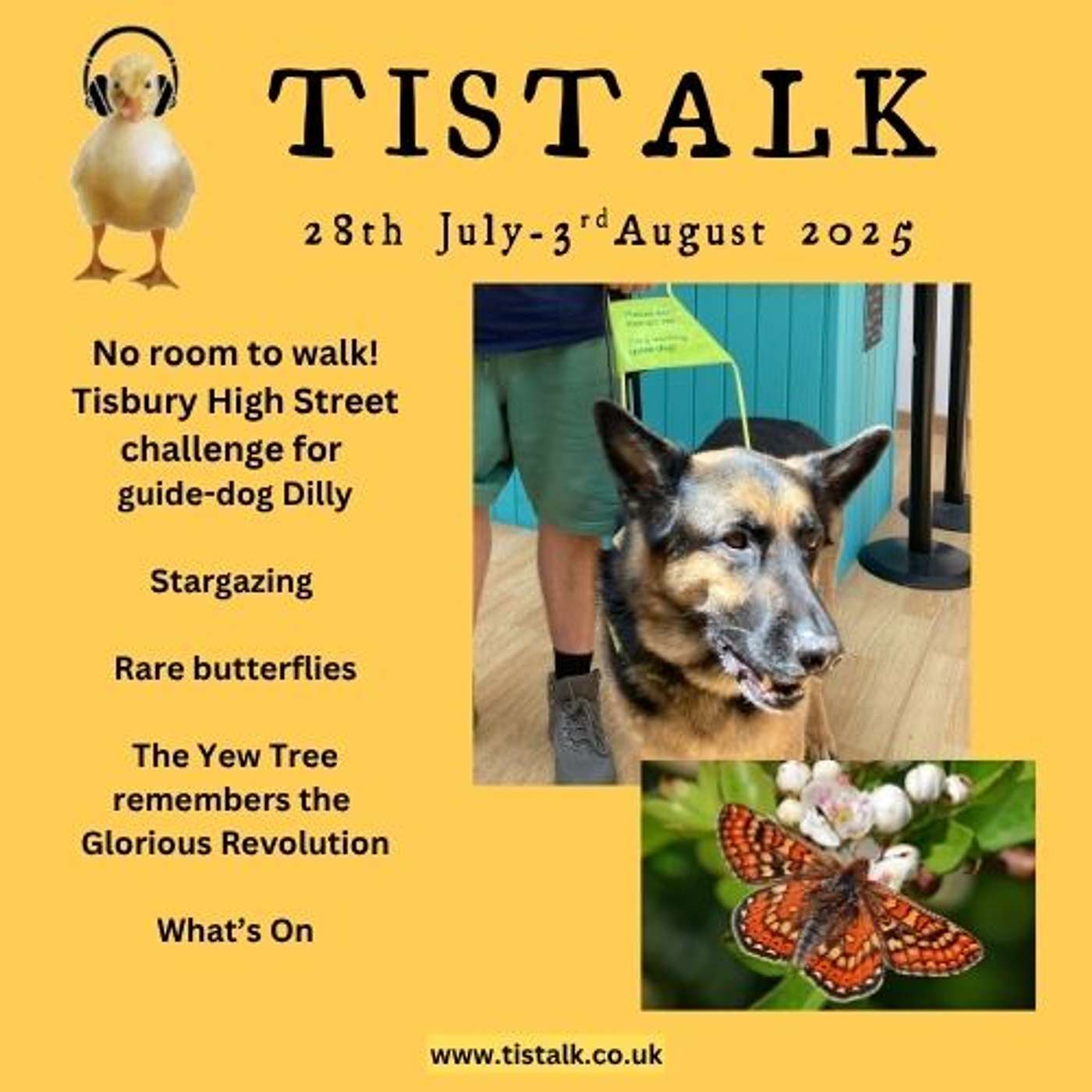 28th July - 3rd August E12S9. Blind-dog challenge, Stargazing, Rare Butterflies, Yew Tree humour.
