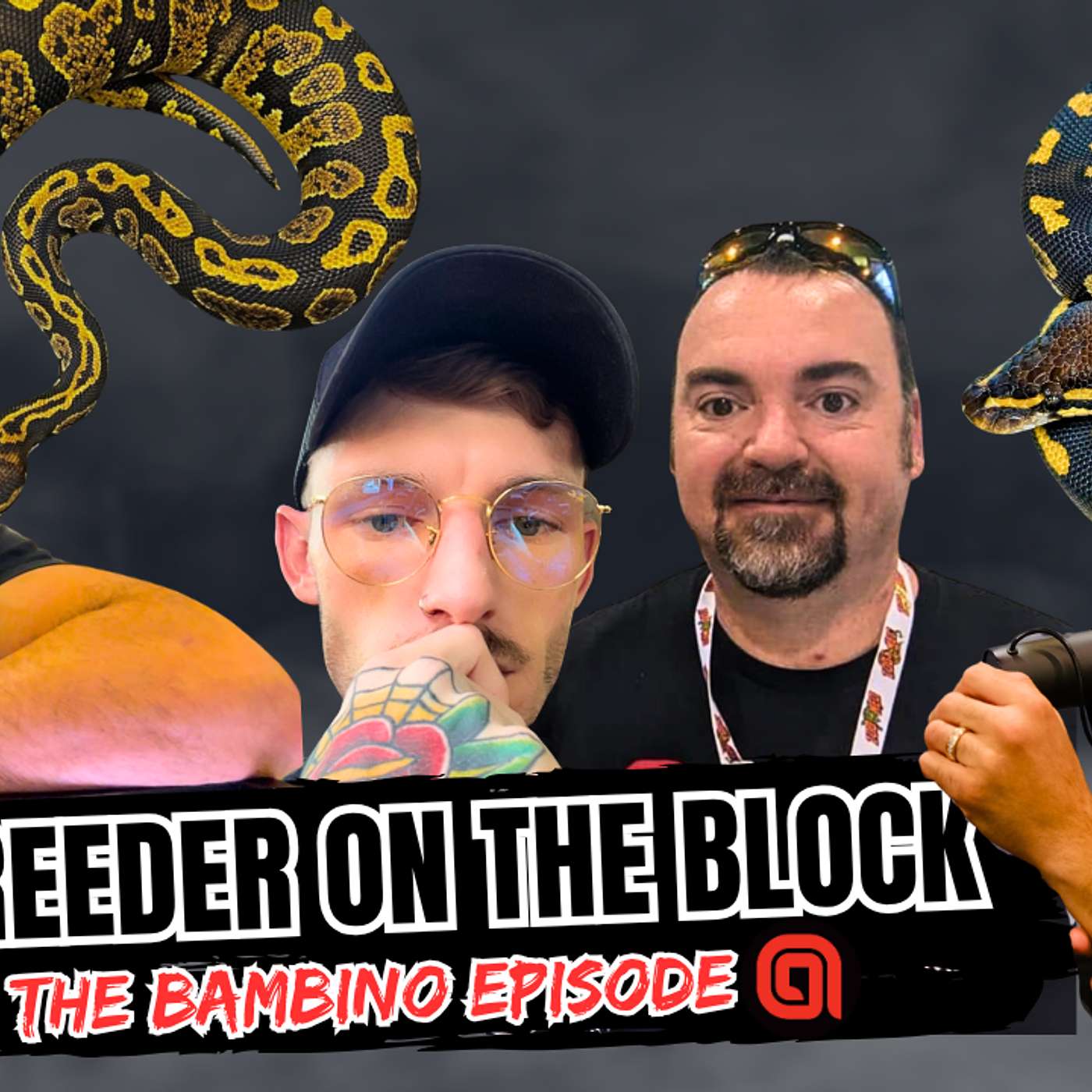Anything And Everything BAMBINO Gene! | NBB Recap Episode #808 episode artwork