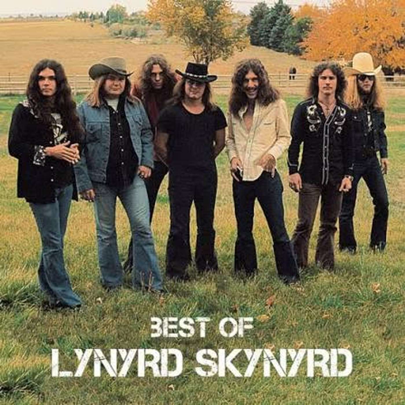 What is your favorite Lynyrd Skynyrd Song? episode artwork