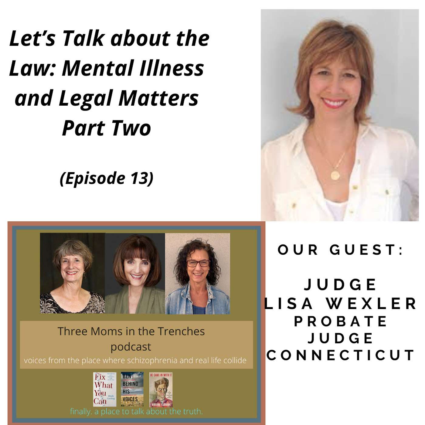 Let’s Talk about the Law - Mental Illness and Legal Matters, Part Two