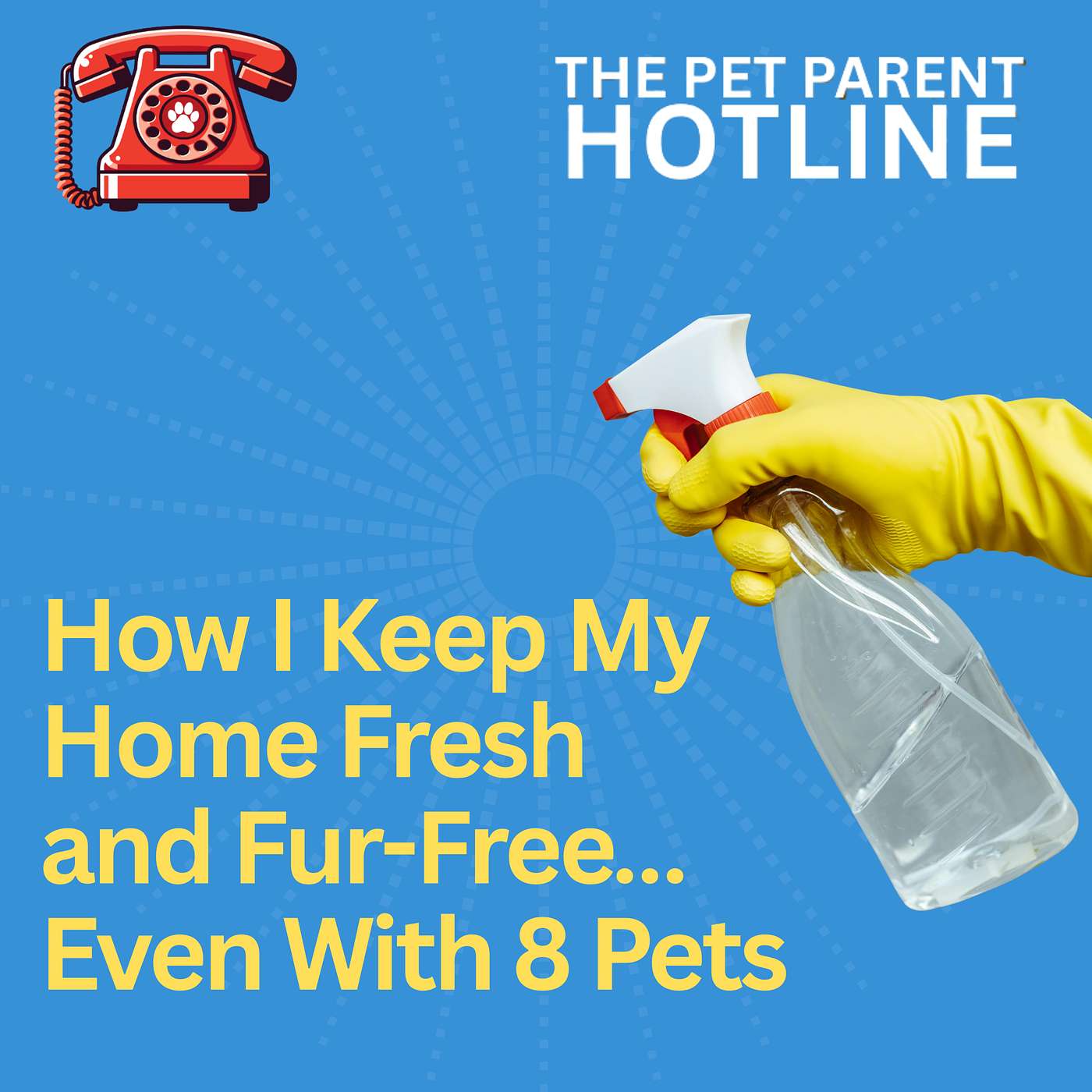 How I Keep My Home Fresh and Fur-Free… Even With 8 Pets