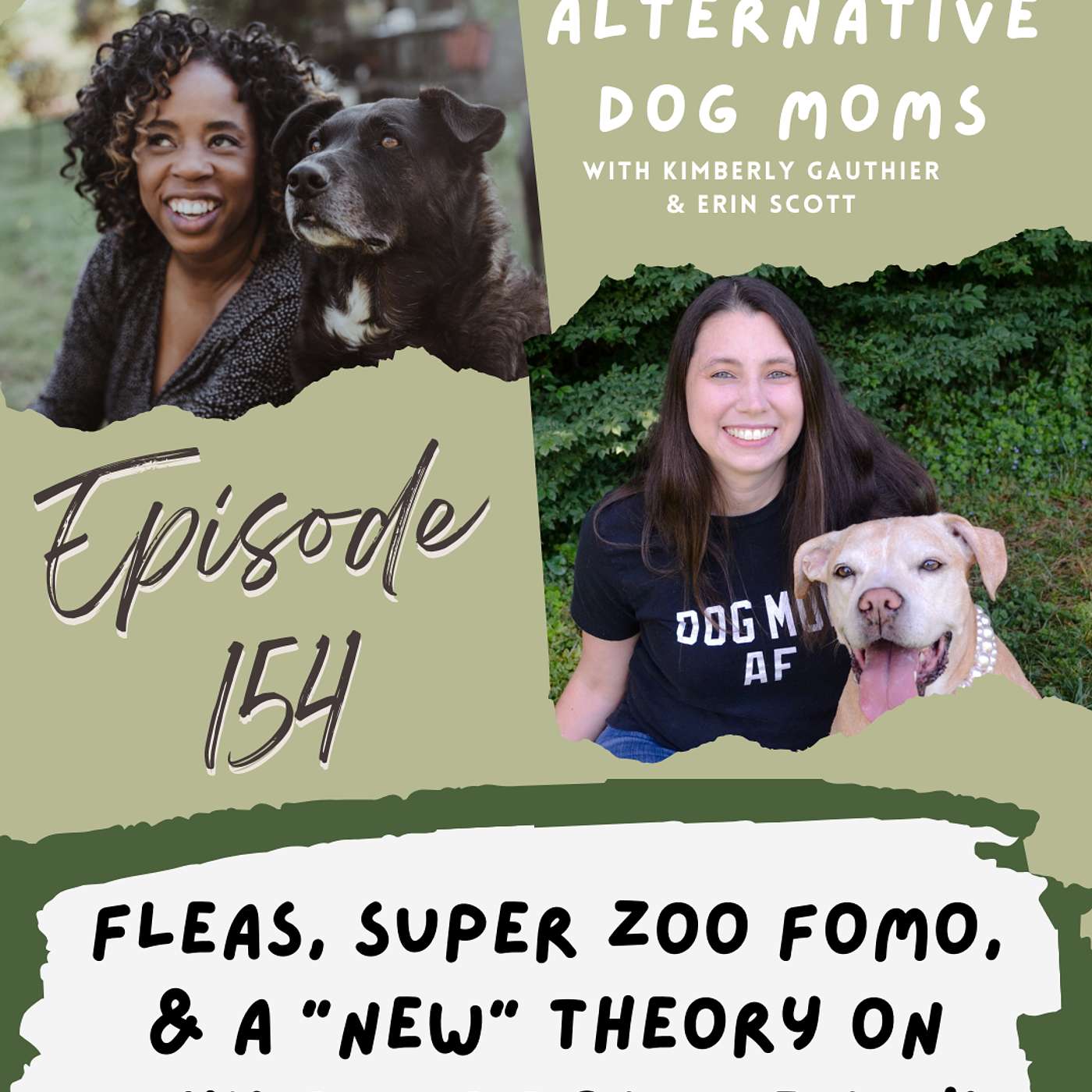 Hot Topics: Fleas, Super Zoo FOMO, and "New" Theory on Why Our Dogs are Sick