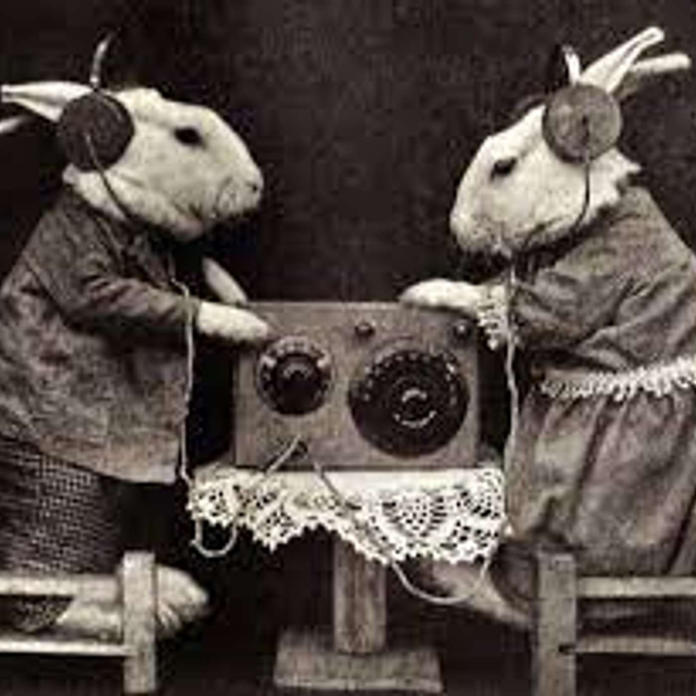 The Old Radio Companion