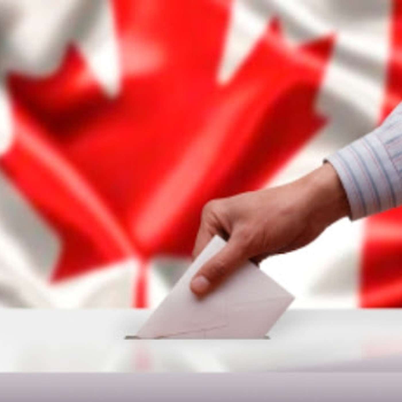 The Importance of Voting in an Election
