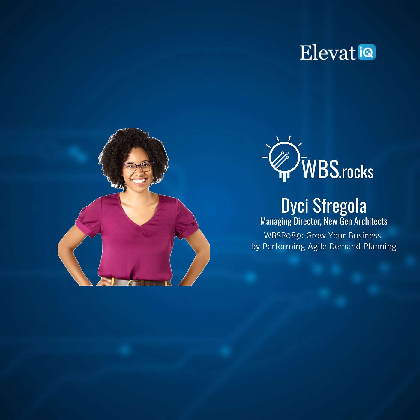 WBSP089: Grow Your Business by Performing Agile Demand Planning w/ Dyci Sfregola