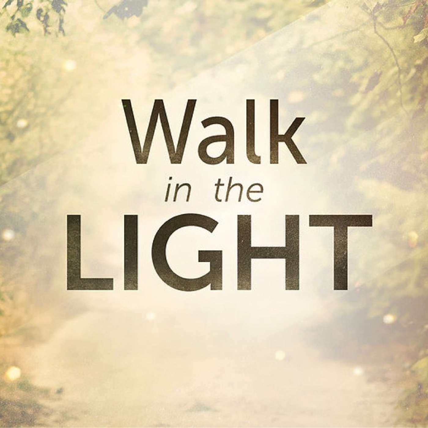 “Walk While Ye Have the Light, Lest Darkness Come Upon You” episode artwork