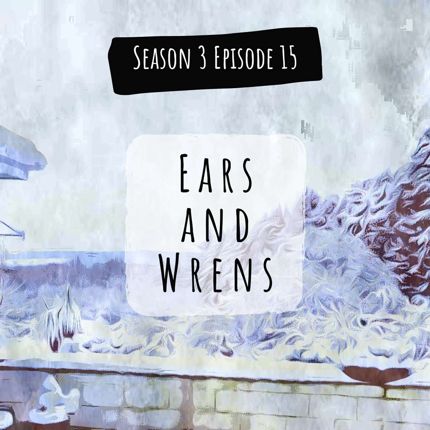 Ears and Wrens Ears and Wrens
