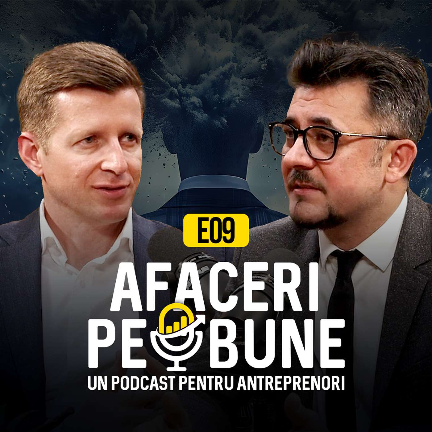 Afaceri pe Bune