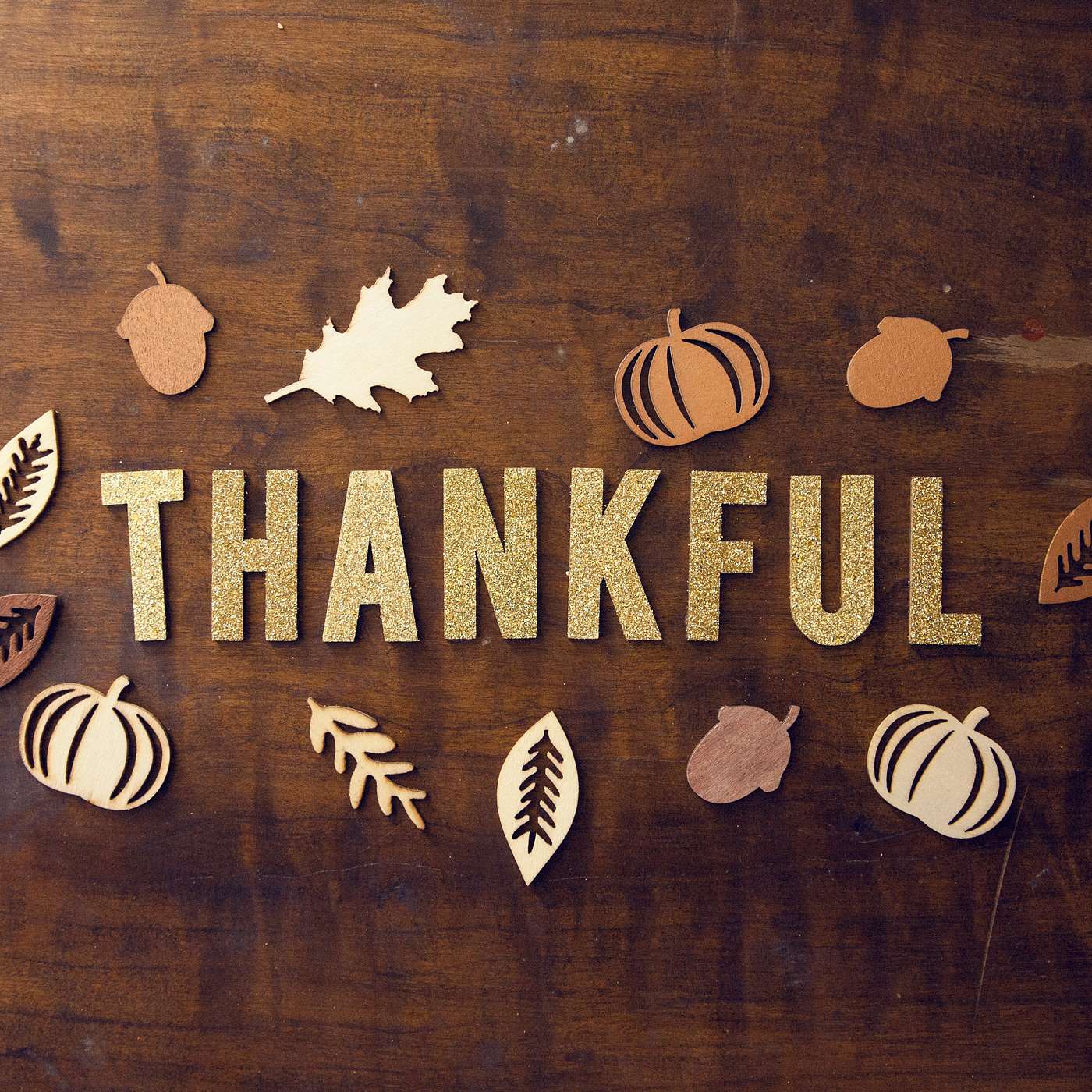 Gratitude in Every Moment: A Thanksgiving Reflection