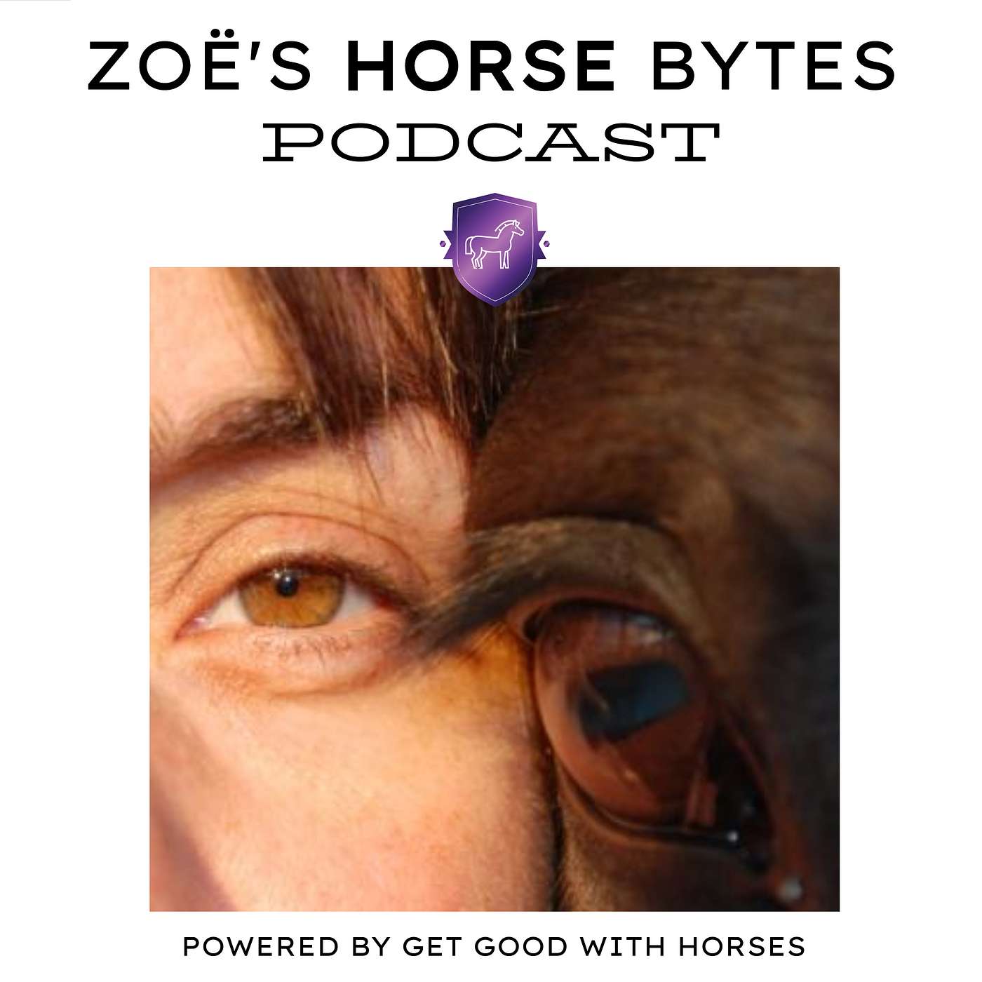 36. Horse don't have to be thin to be abused episode artwork