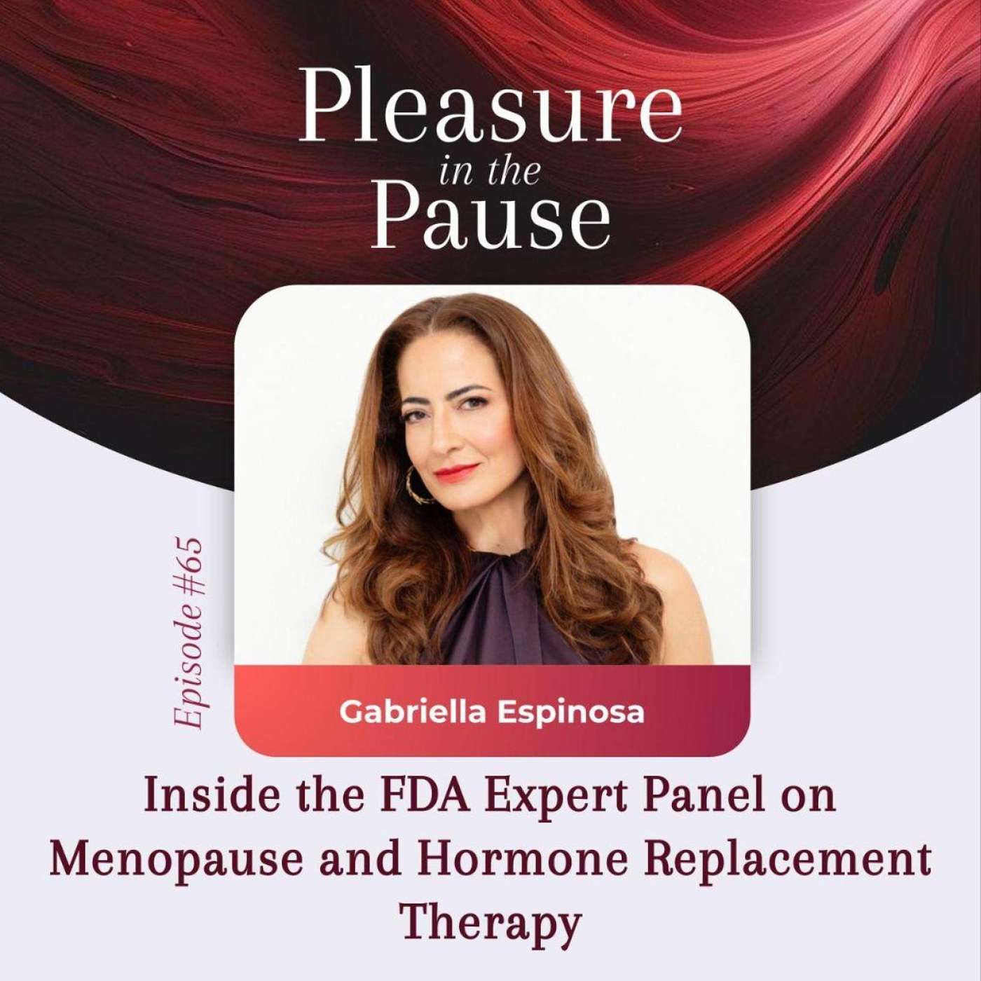 Pleasure In The Pause: Smart, Sexy Midlife Conversations about Menopause, Hormones & Female Pleasure