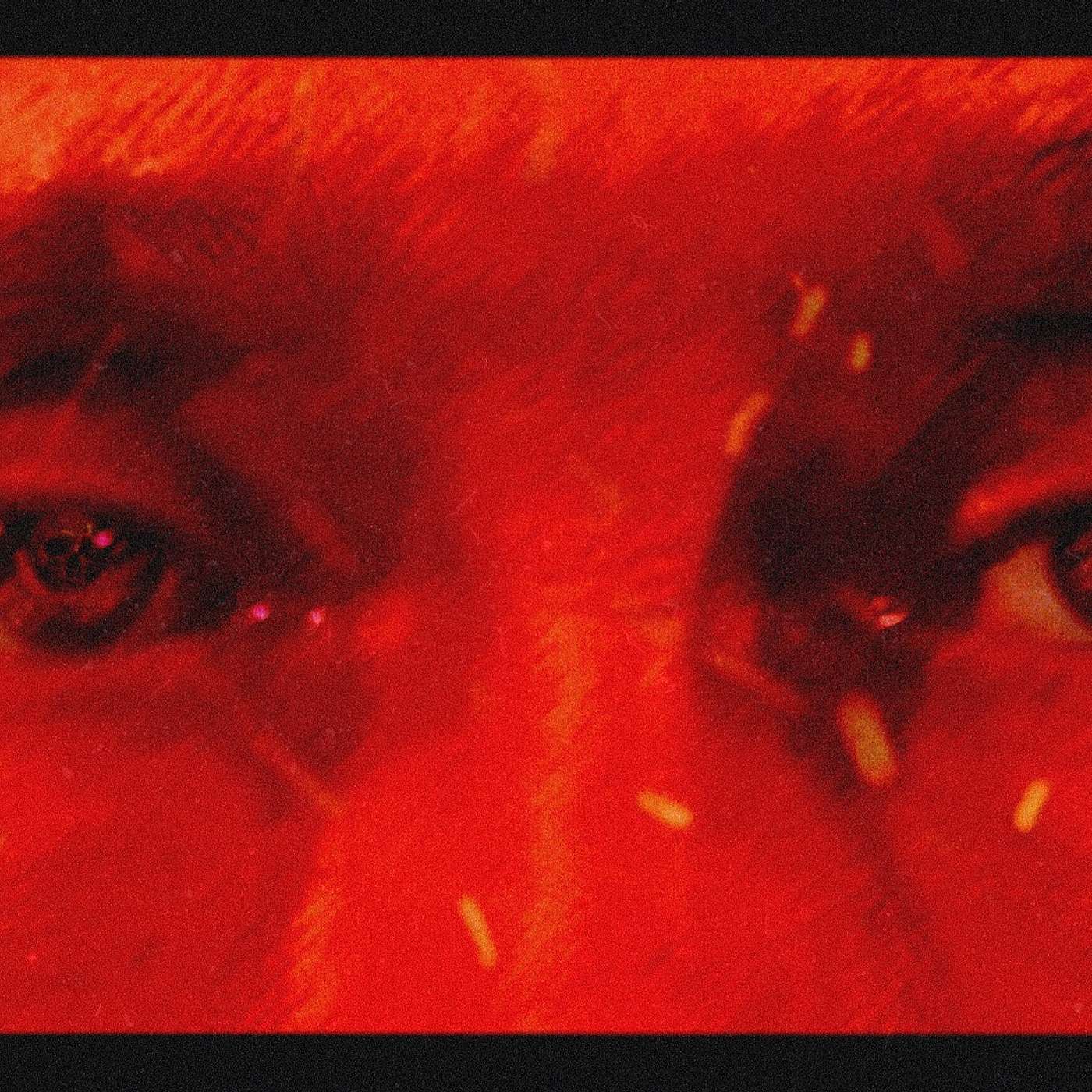 Как и почему Путин начал эту войну | Аннексия Крыма | Донбасс 2014 | коммунизм