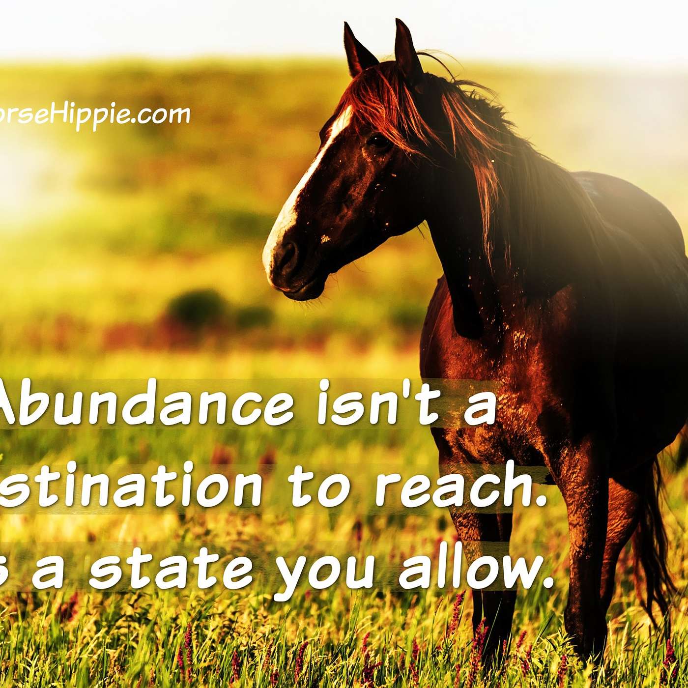 You Don’t Chase Abundance