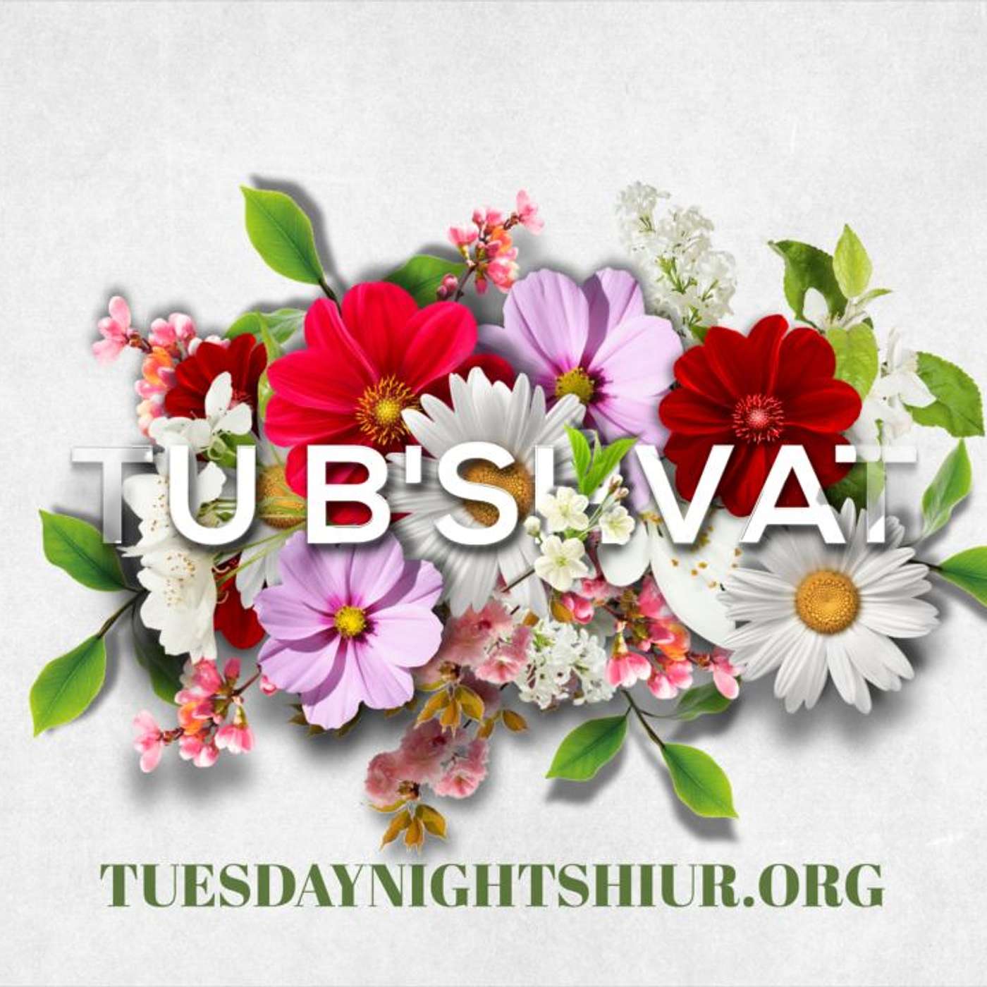 TU B'SHVAT TISH OF THE TOSHER REBBEH OF MONSEY 2/12/25 episode artwork