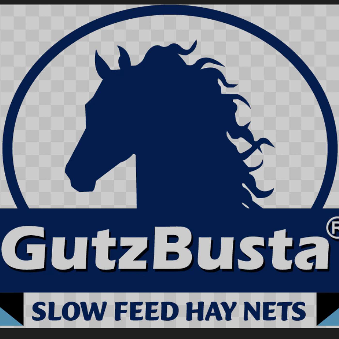 #28 Interview with Nikki from Gutzbusta