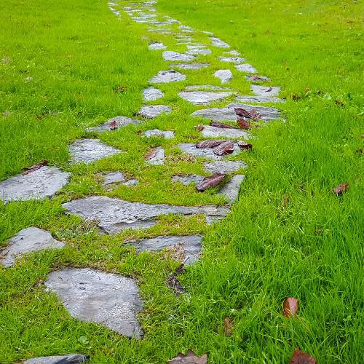 Empower Students Now