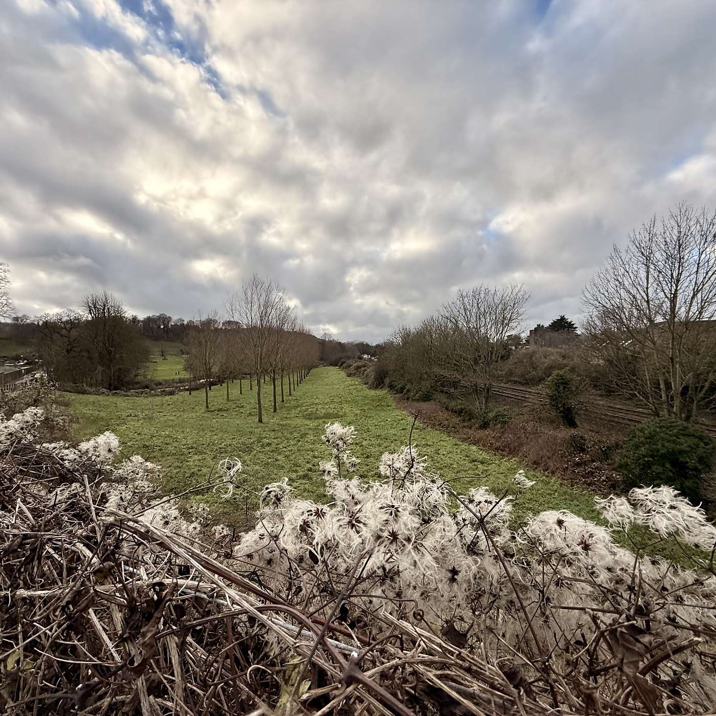 Bellowing Boys and Bells